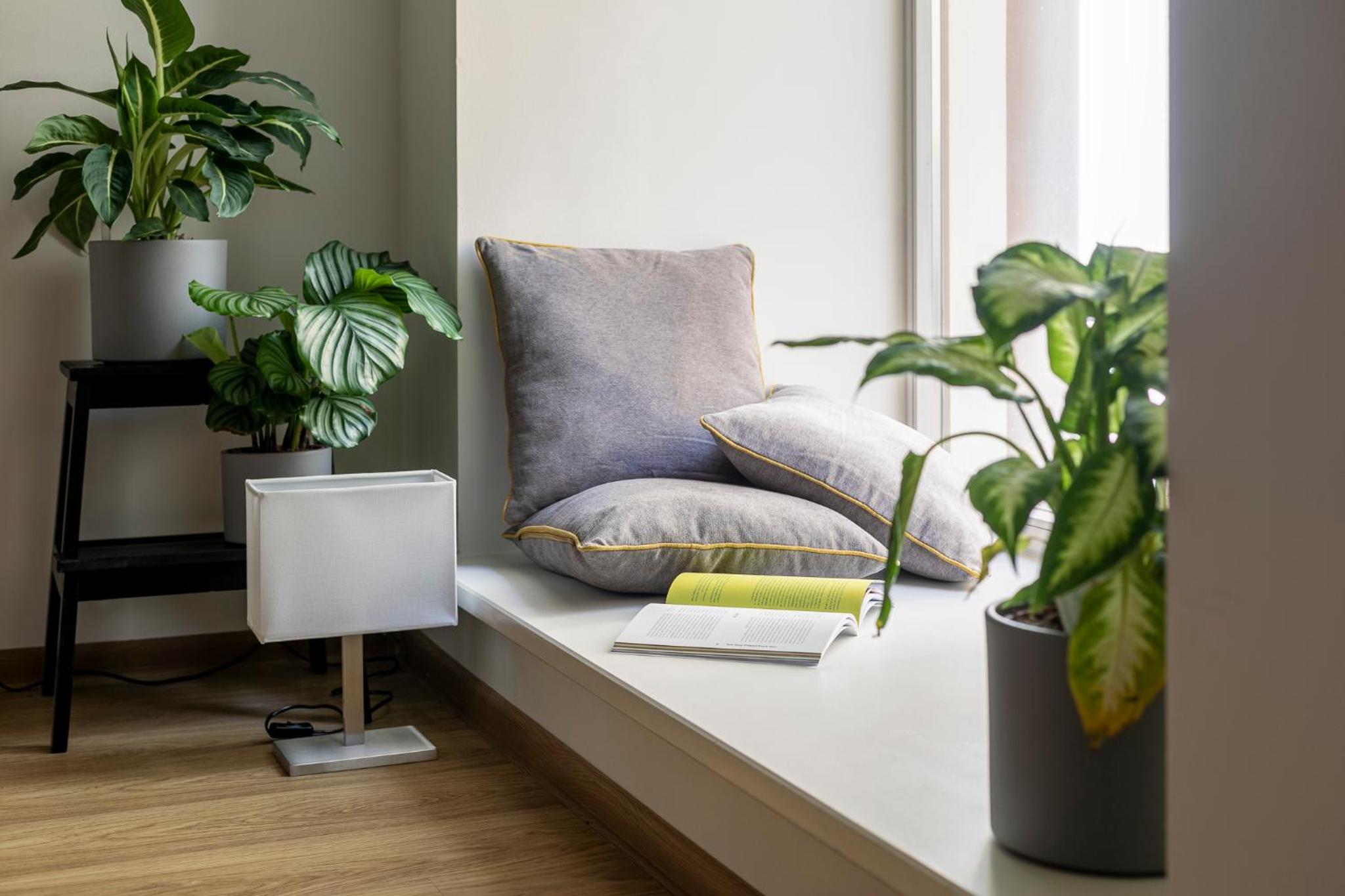 Cozy studio apartment central
