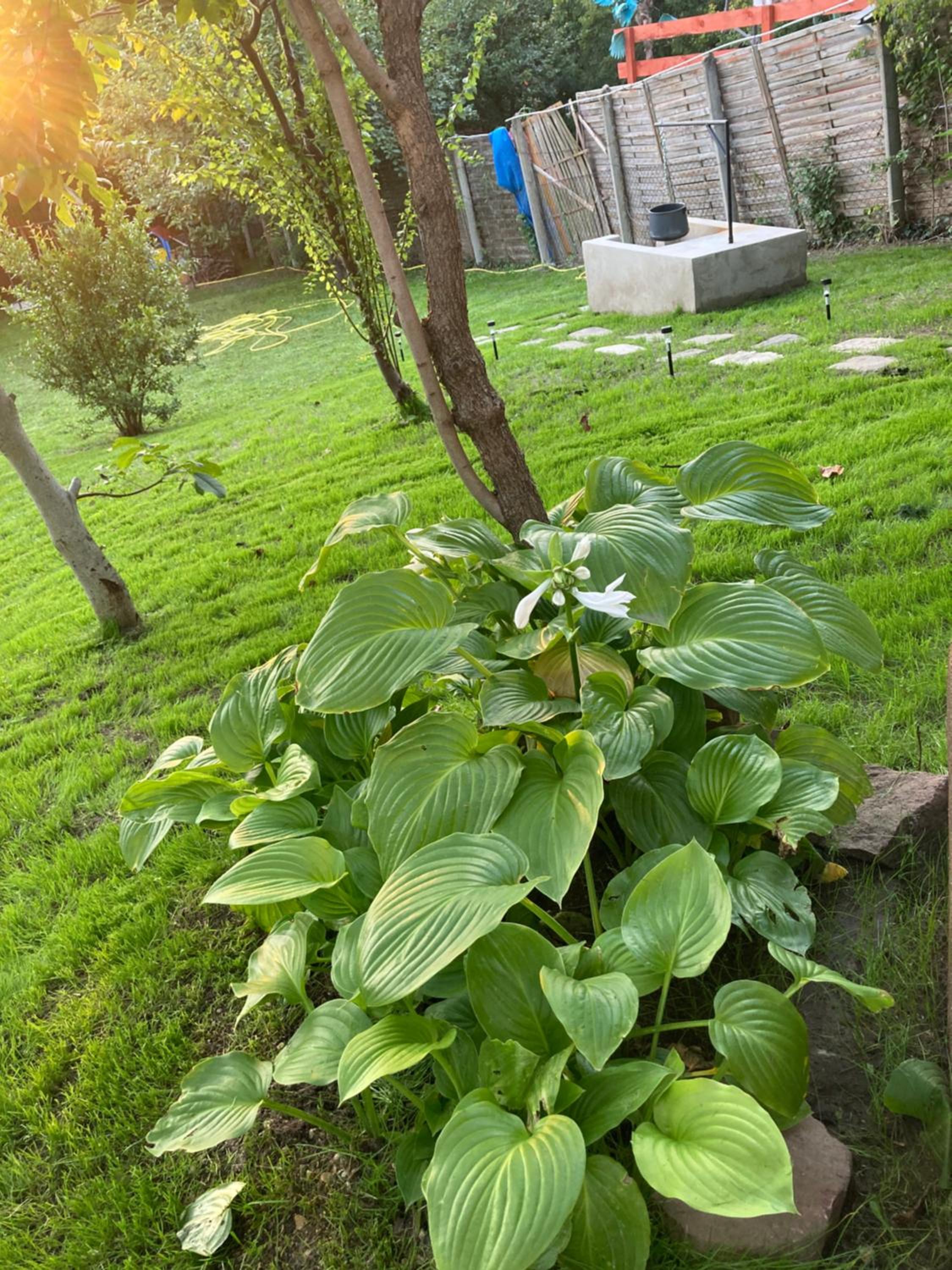 Photo 29