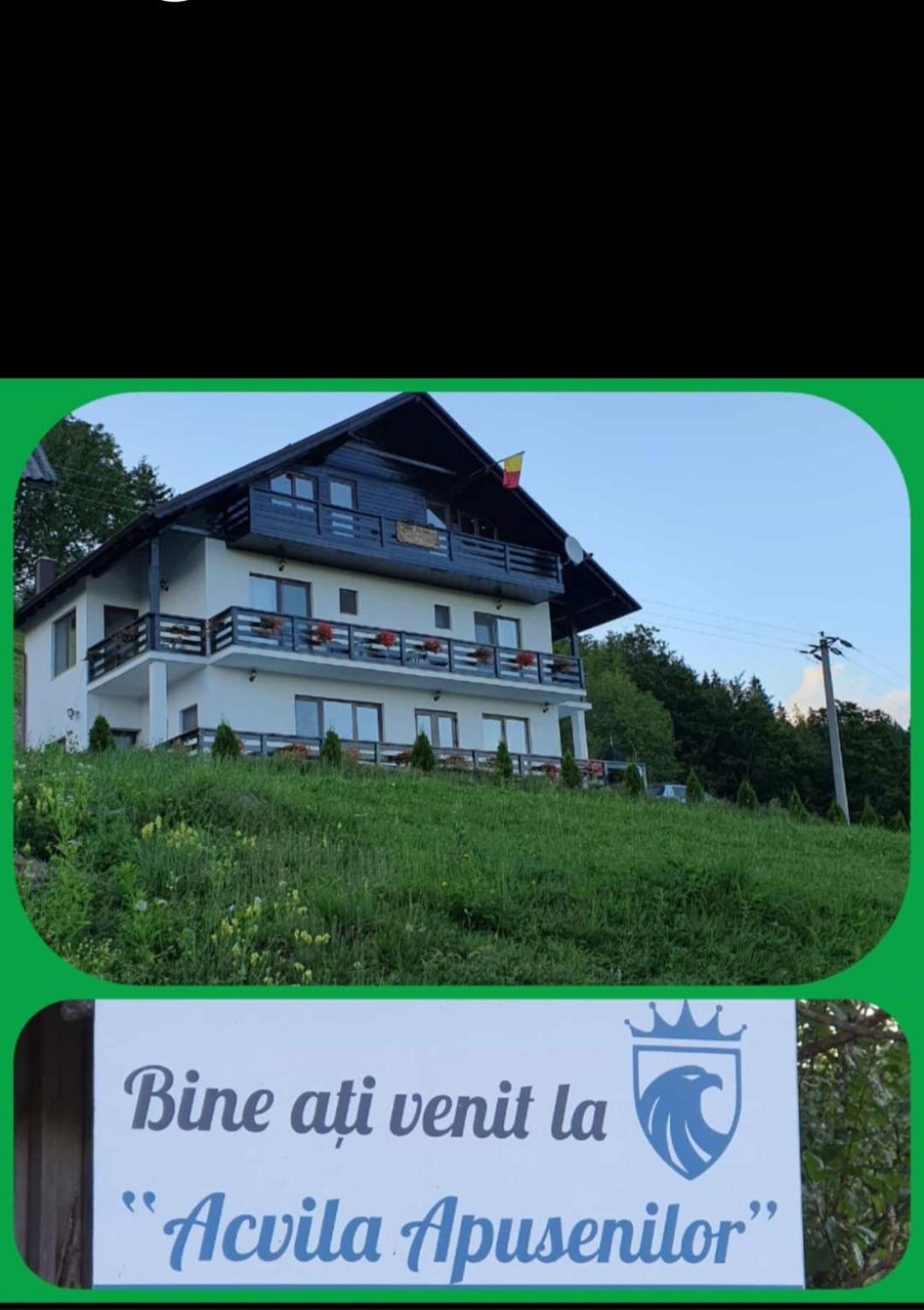 Pensiunea Agroturistica Acvila Apusenilor view 2