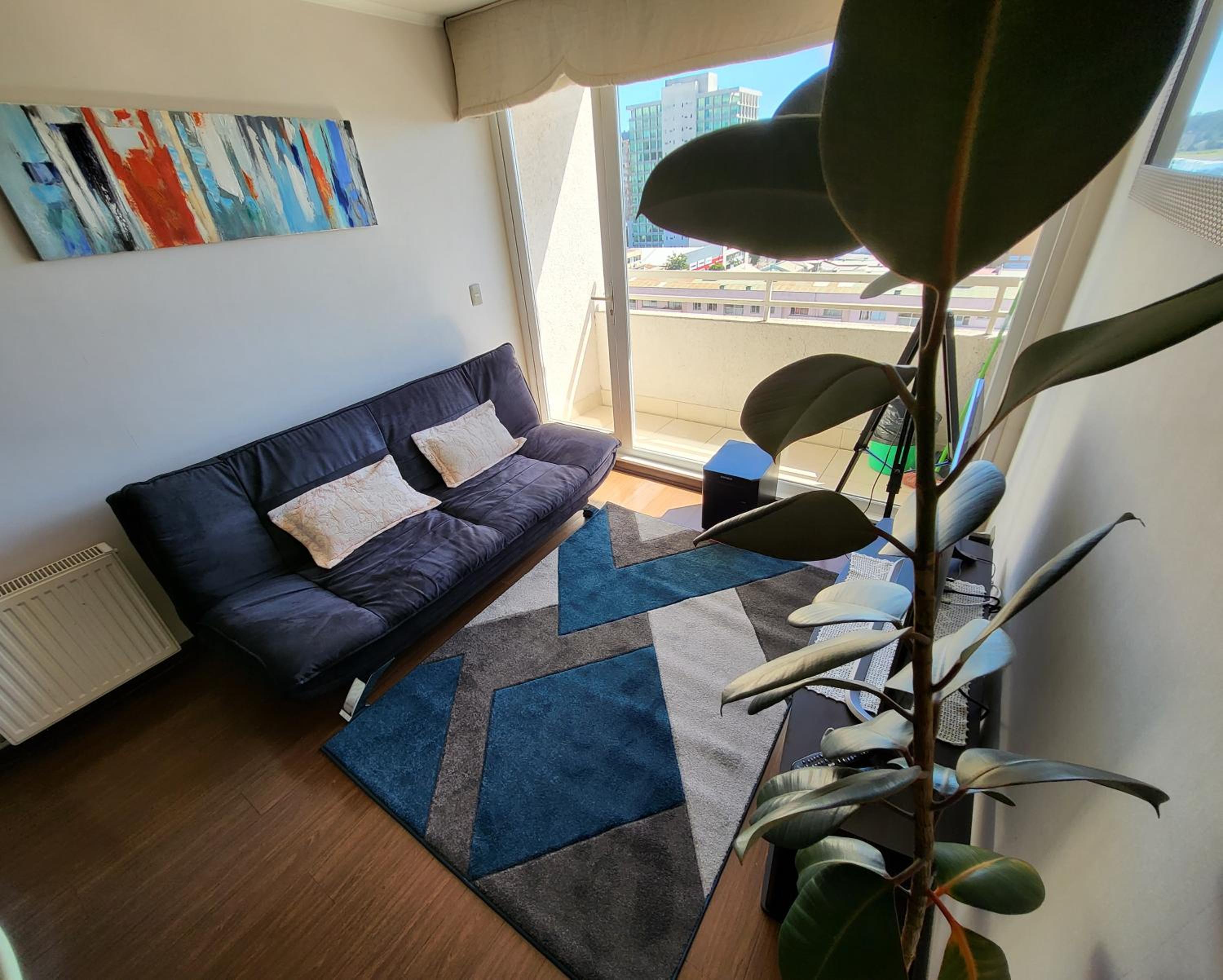 Departamento concepción plus 1008
