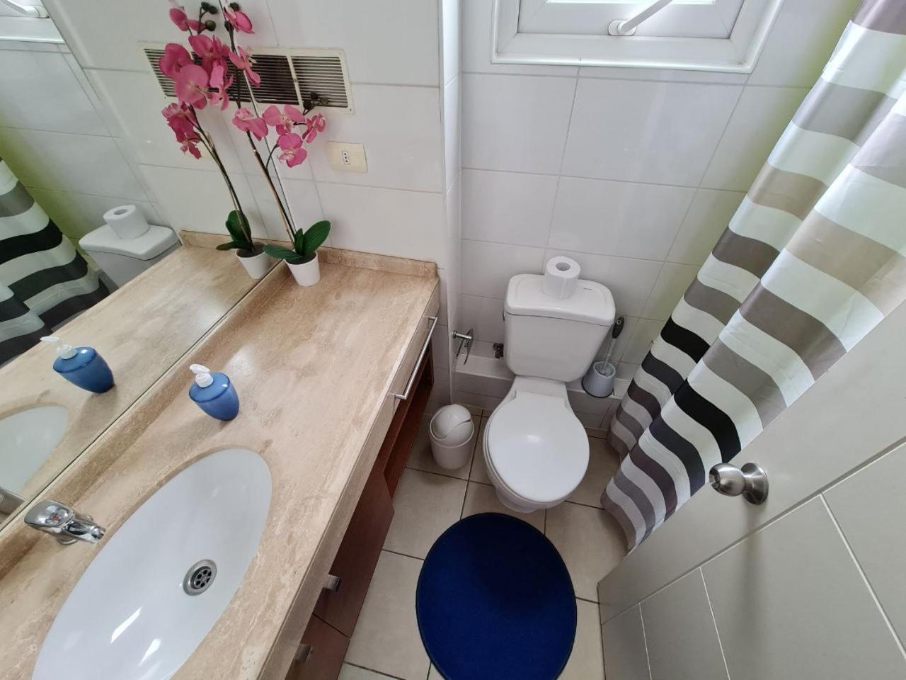 Departamento concepción plus 1008