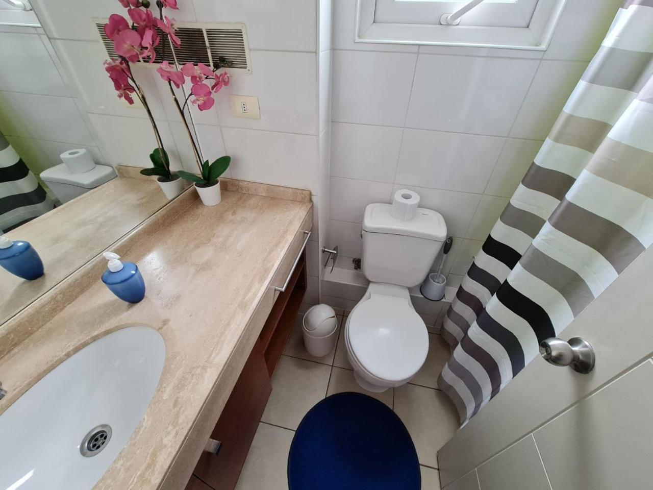 Departamento concepción plus 1008