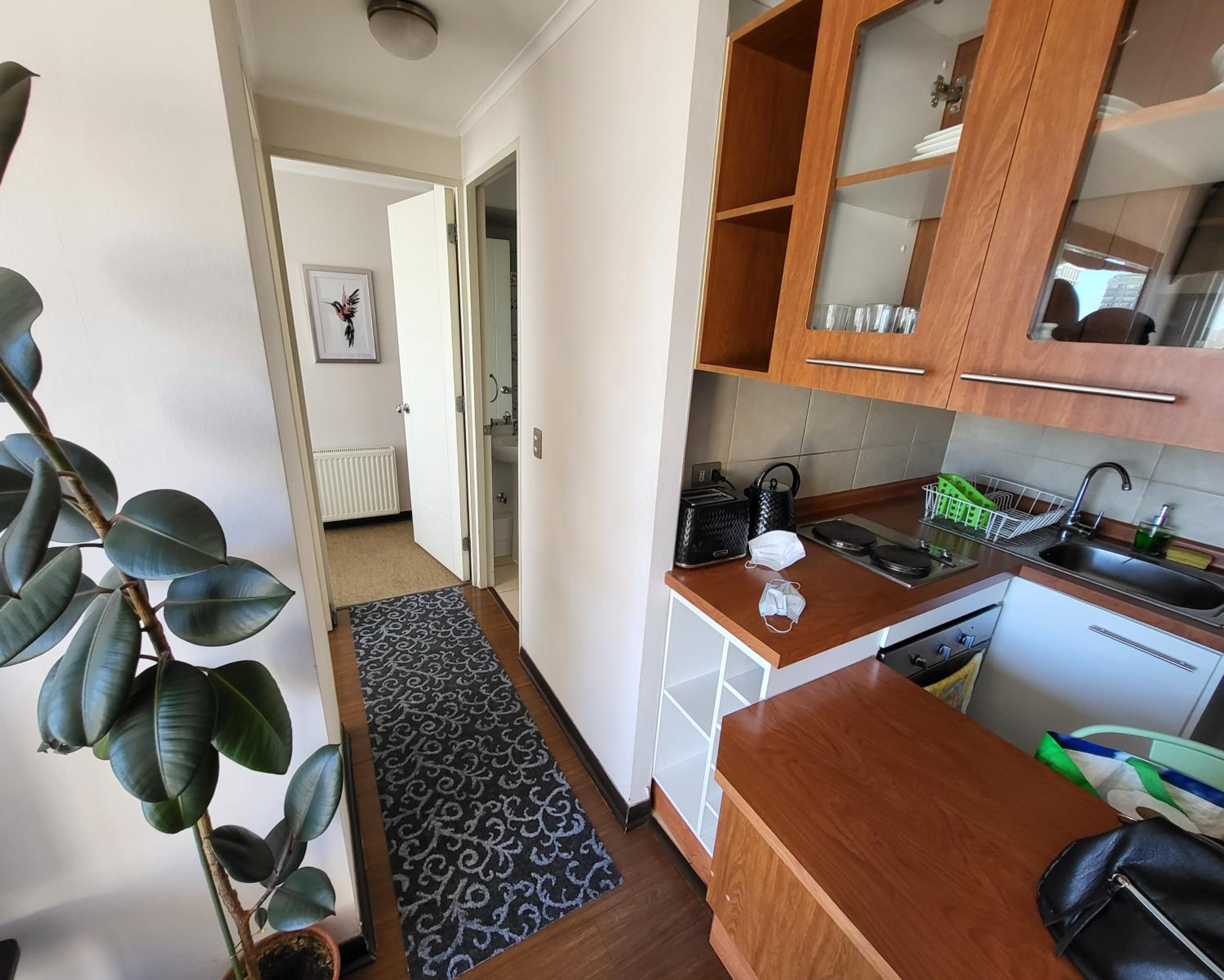 Departamento concepción plus 1008