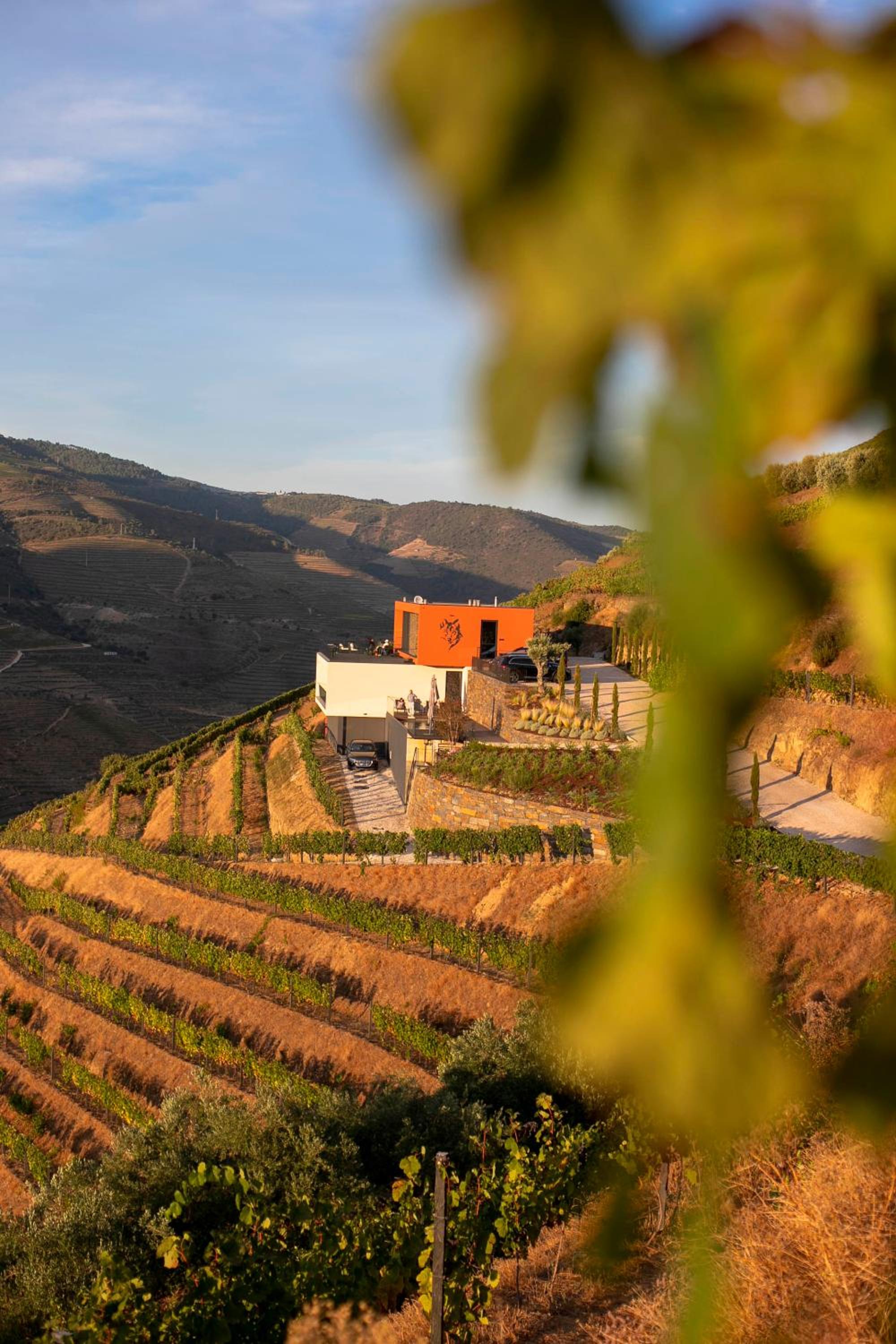 Quinta Vale de Lobos