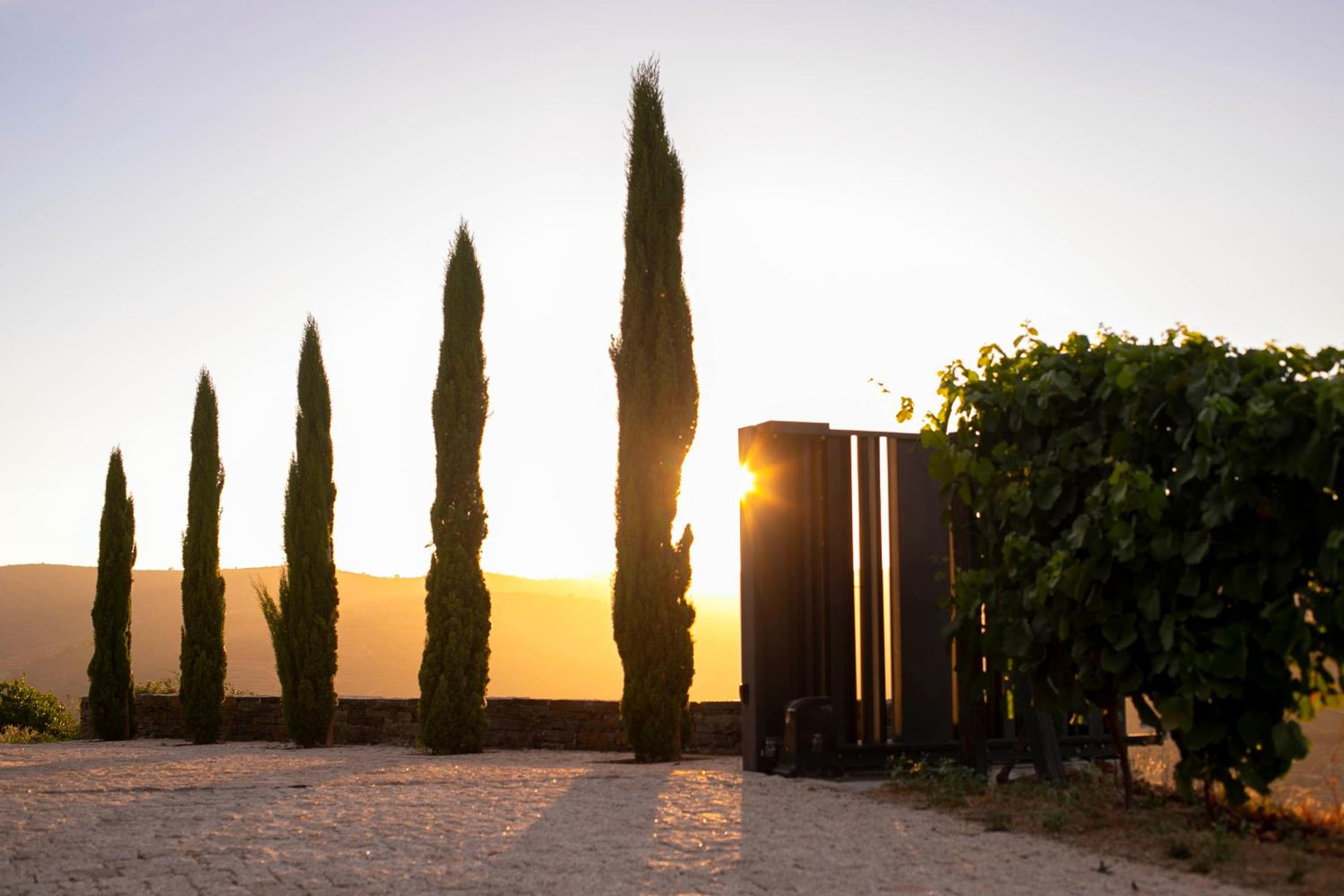 Quinta Vale de Lobos