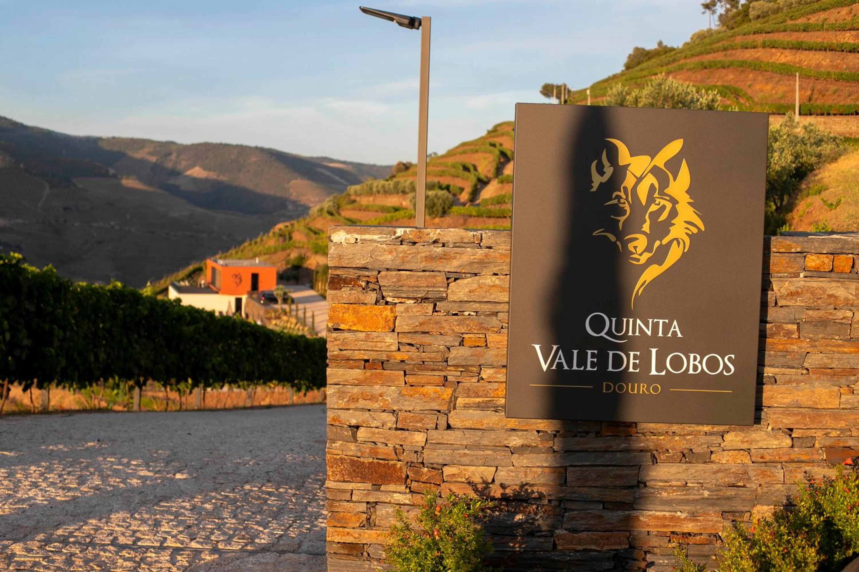 Quinta Vale de Lobos