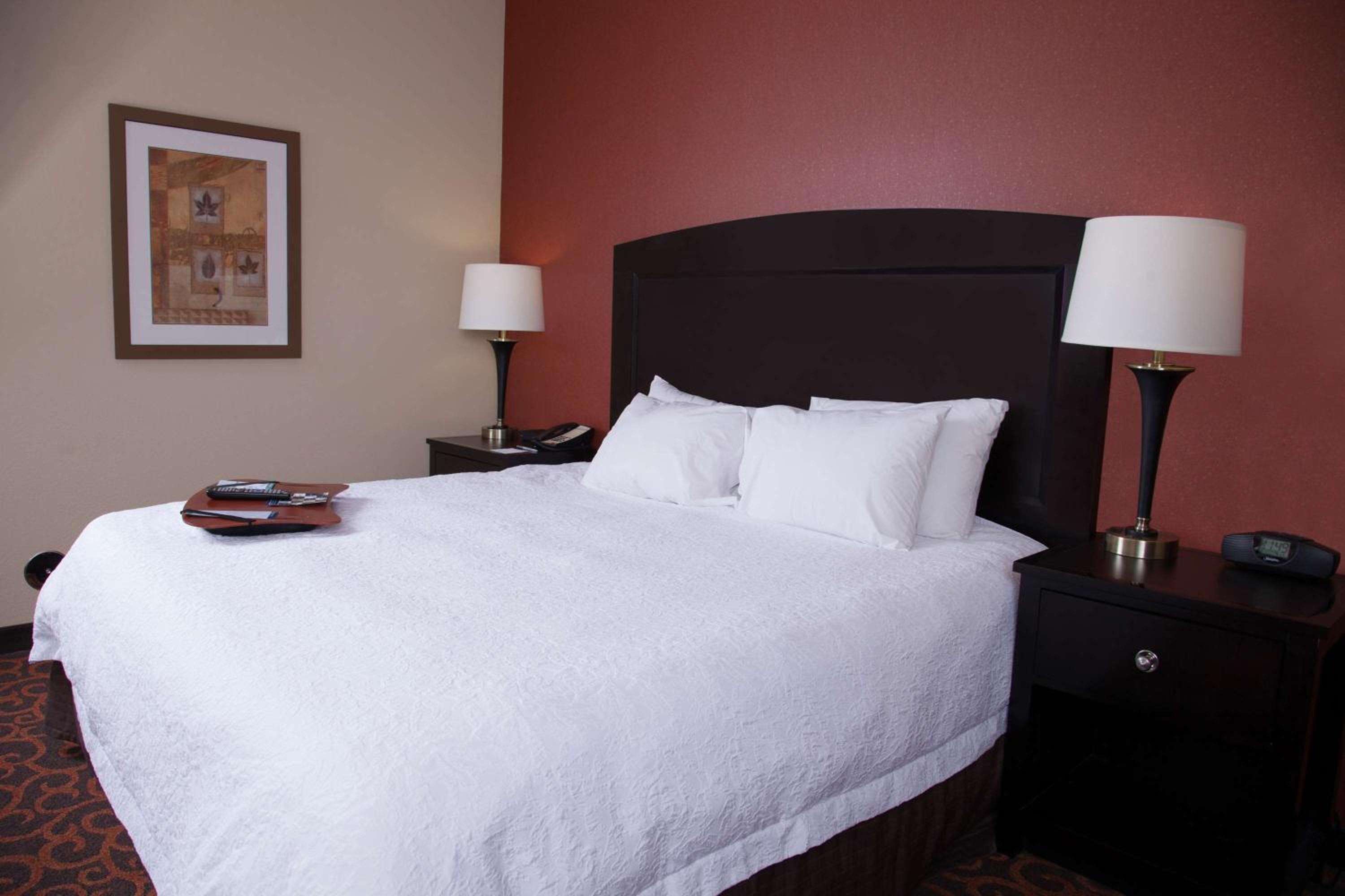 Dickinson Vacations - Hampton Inn  Suites Dickinson ND - Property Image 51