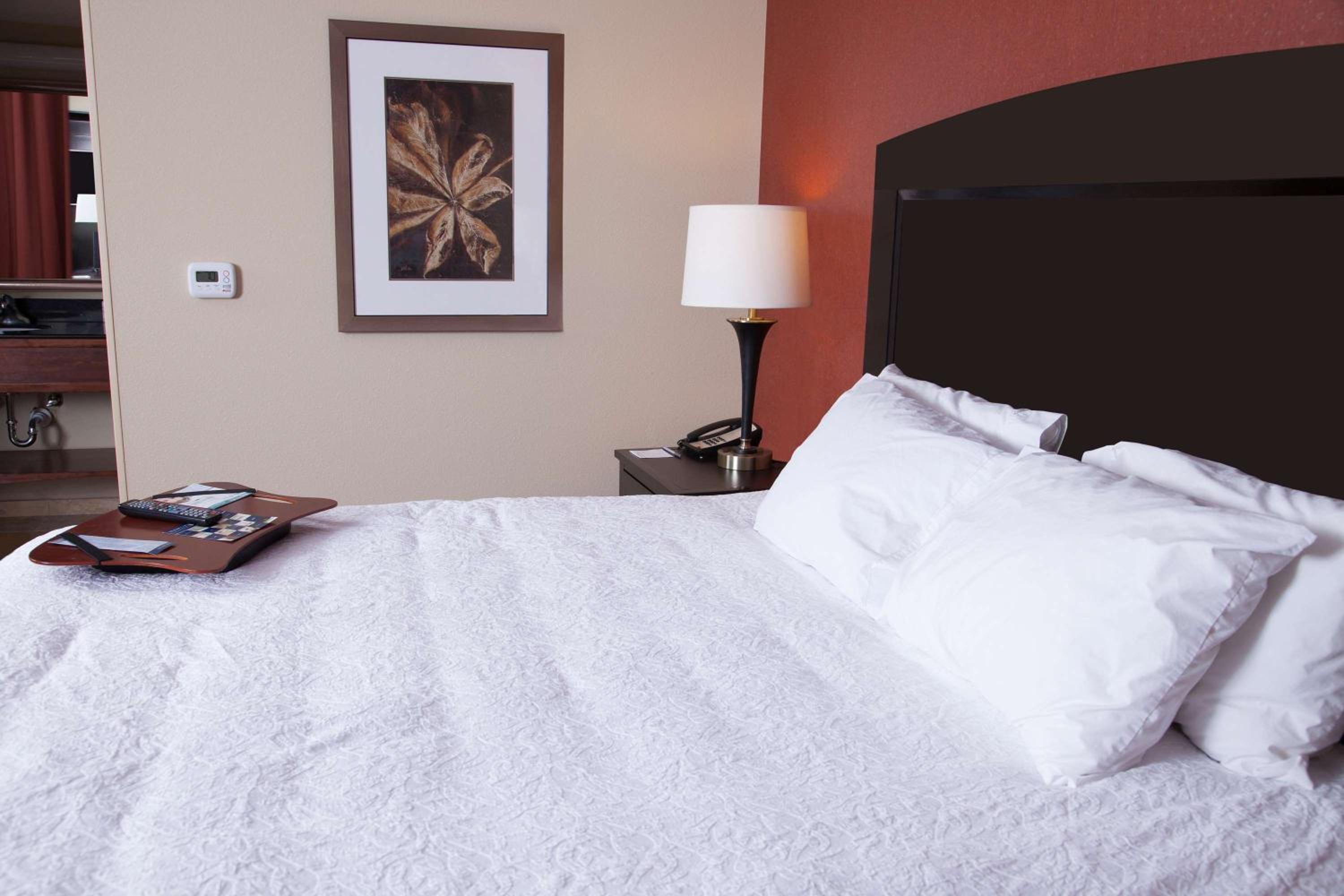 Dickinson Vacations - Hampton Inn  Suites Dickinson ND - Property Image 52