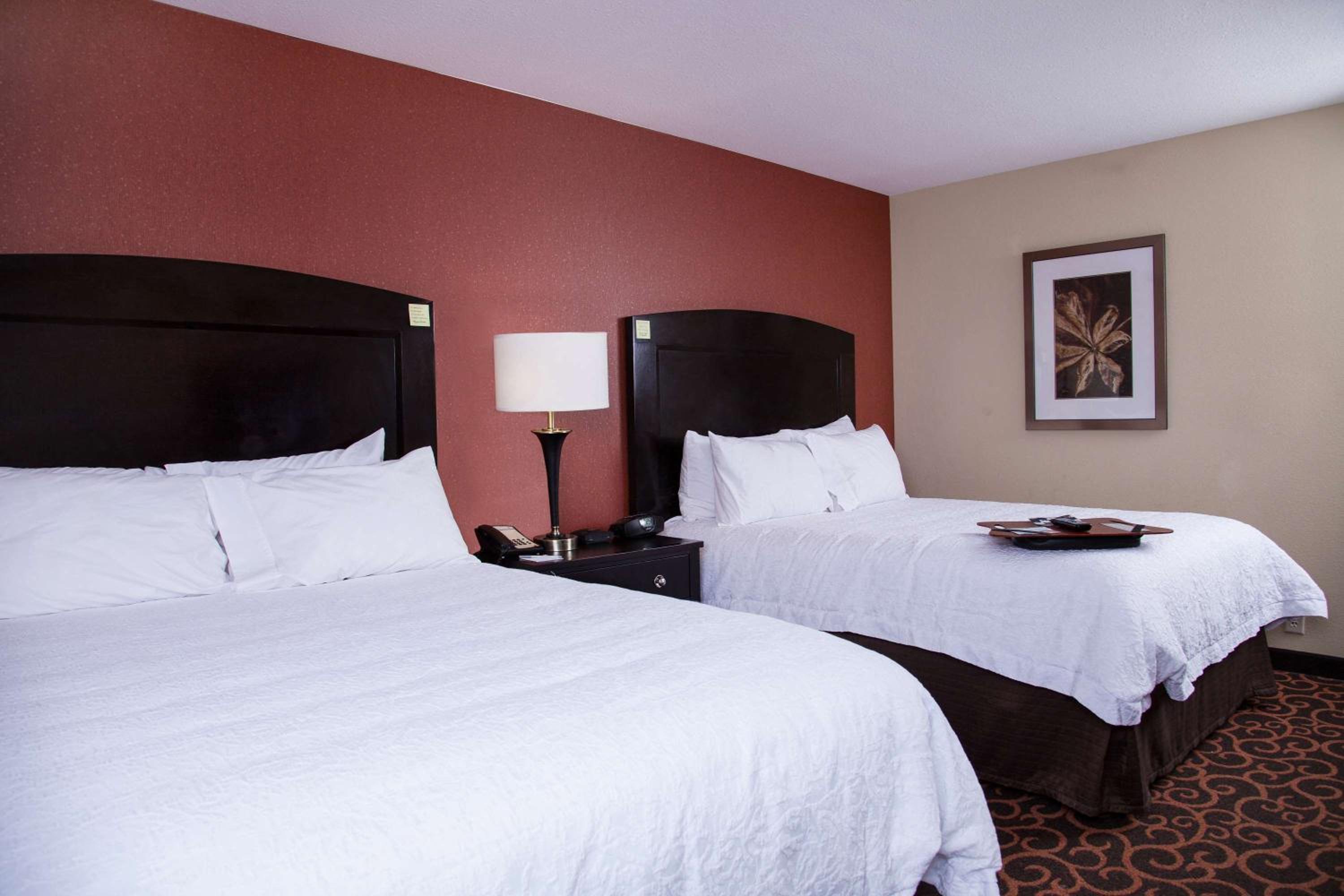 Dickinson Vacations - Hampton Inn  Suites Dickinson ND - Property Image 5