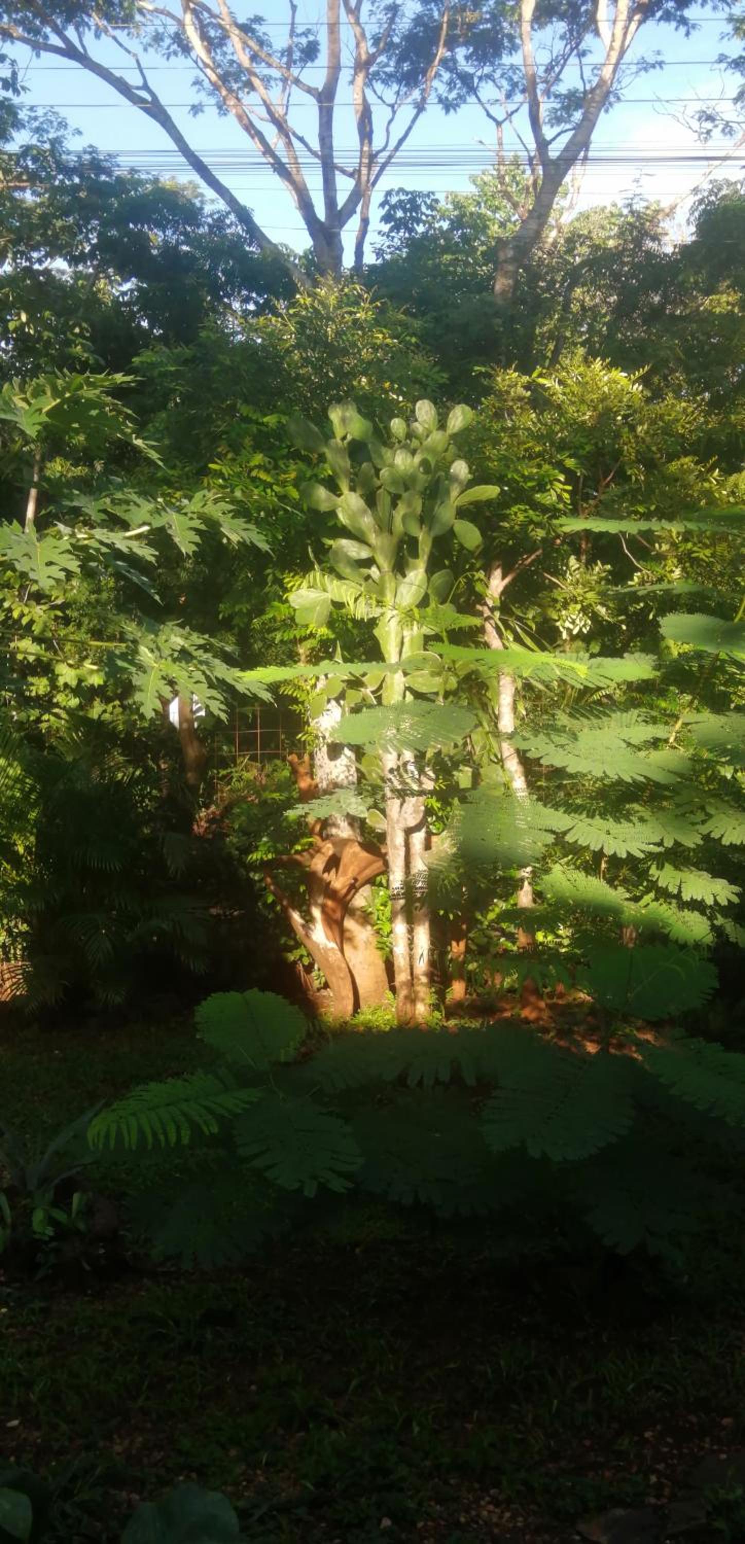 EcoVillas Las Melinas