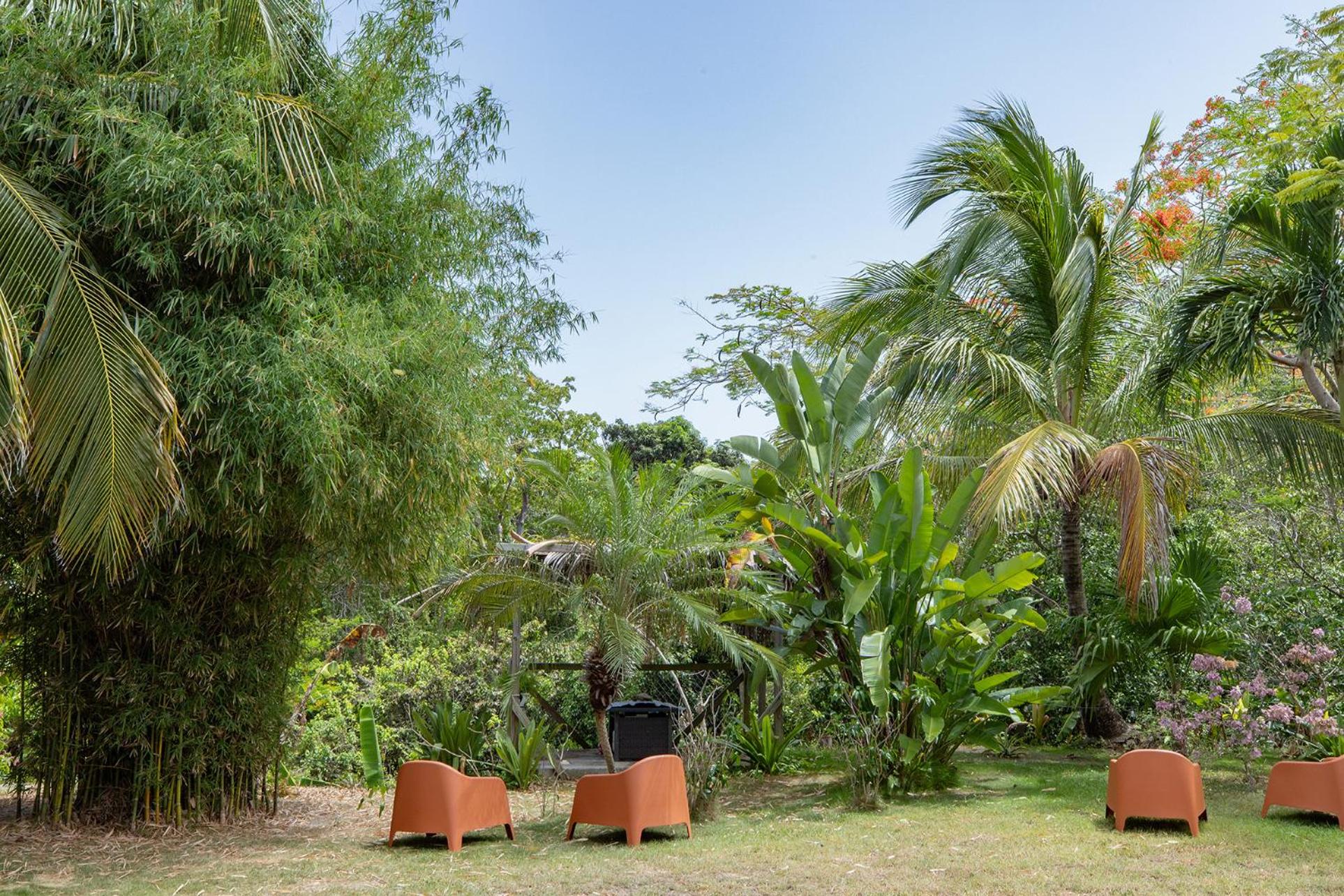 Vieques Tropical Guest House