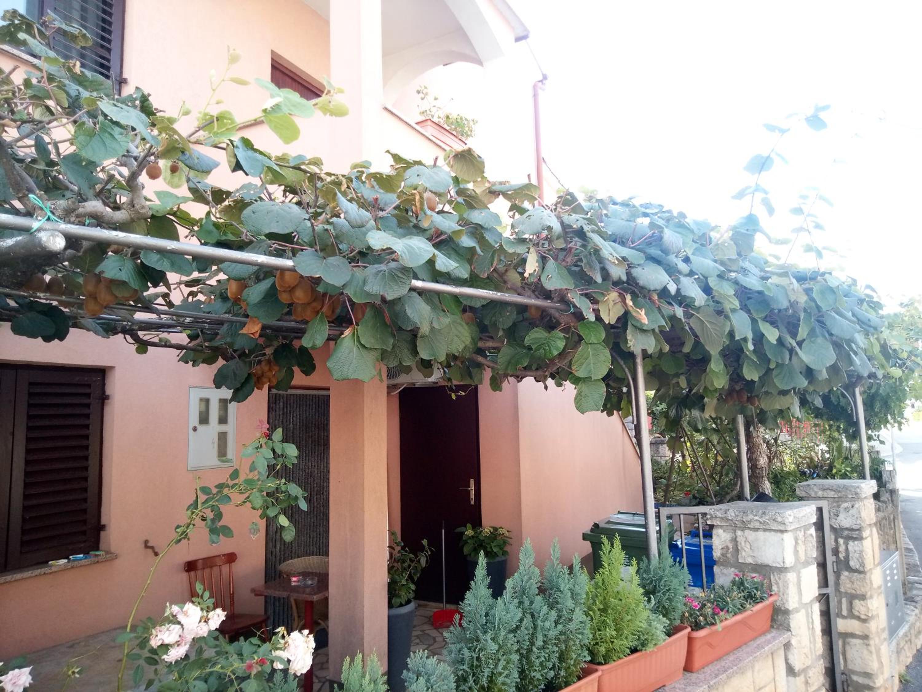 Apartment Olimp