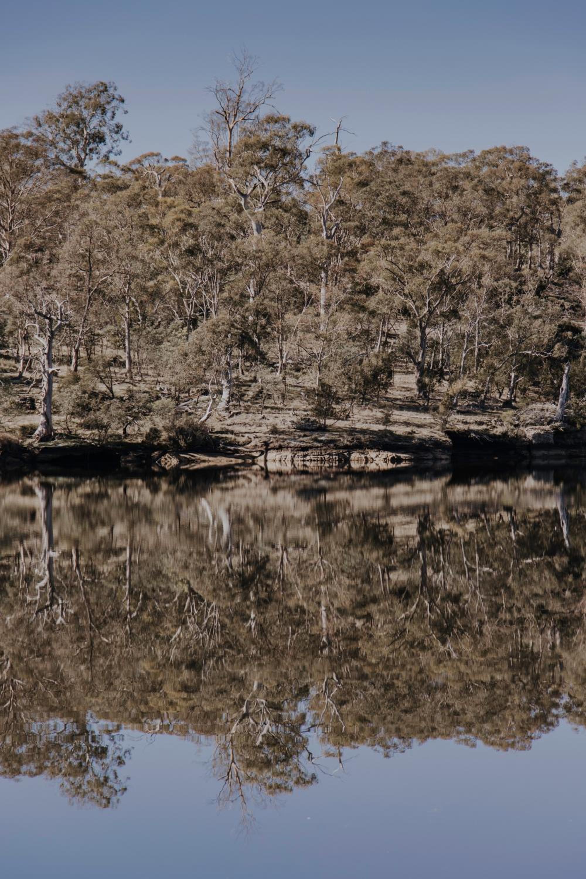 Meadowbank Lakehouse