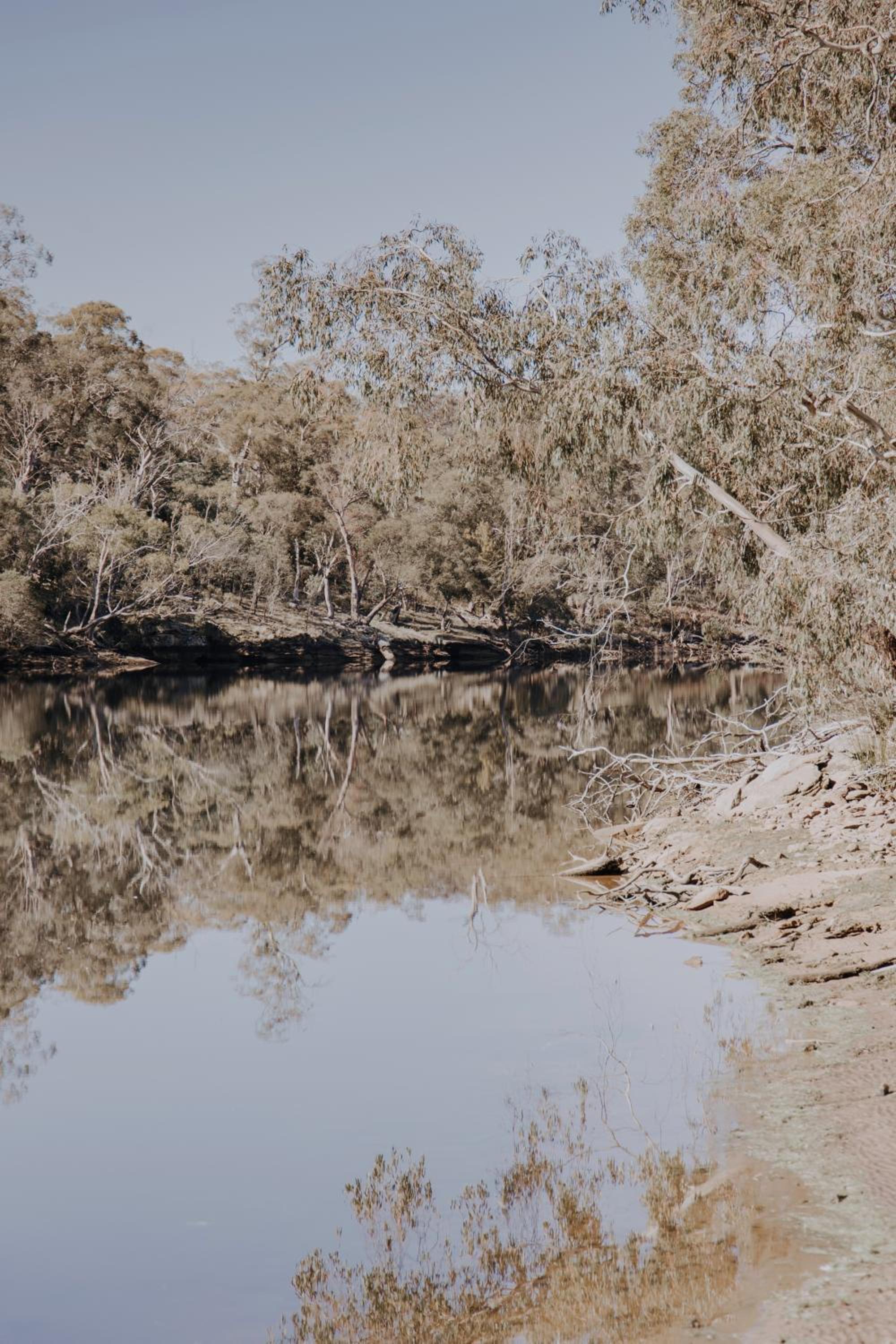 Meadowbank Lakehouse