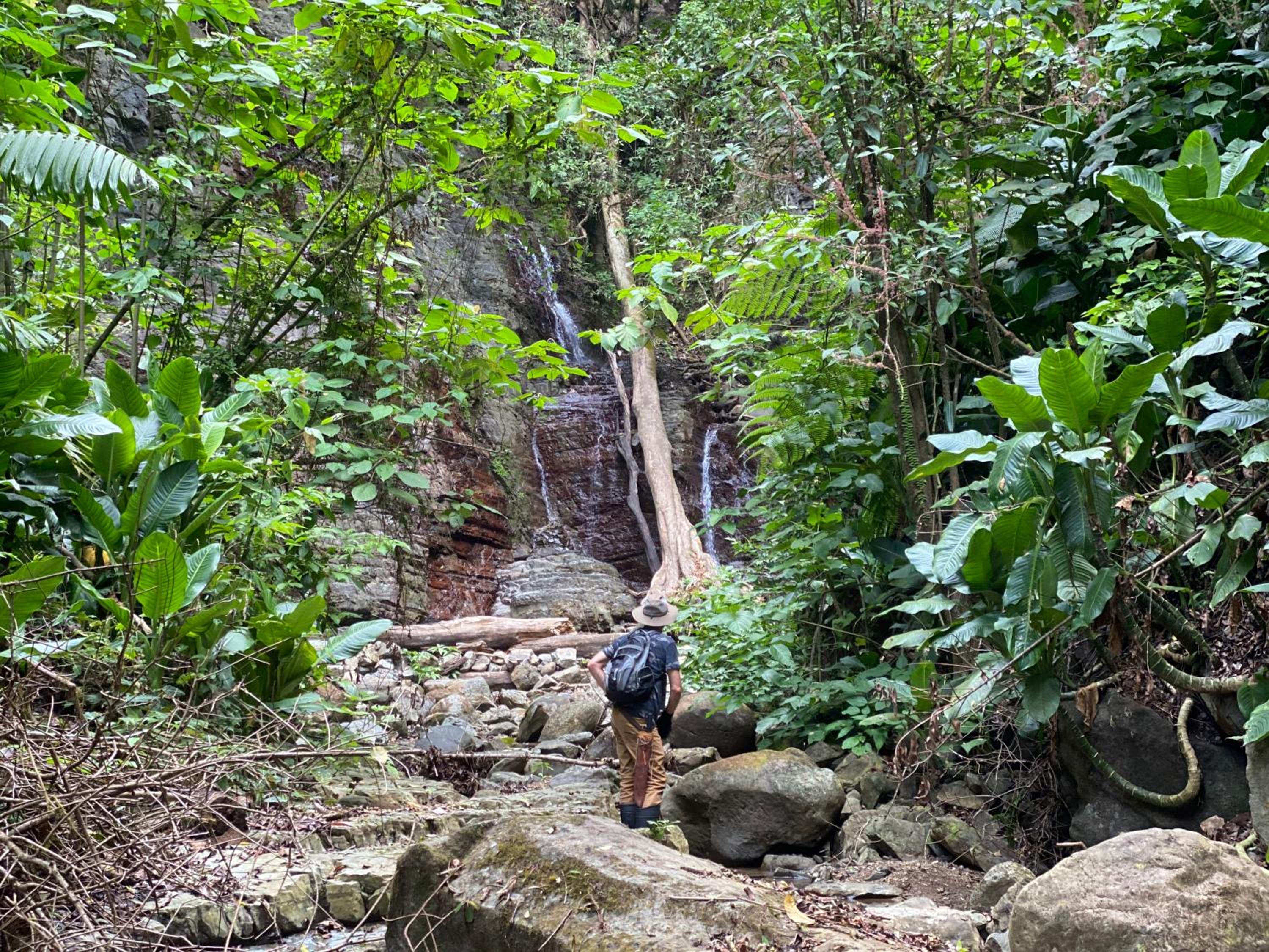 Toucan Valley Resort at Osa Mountain Village