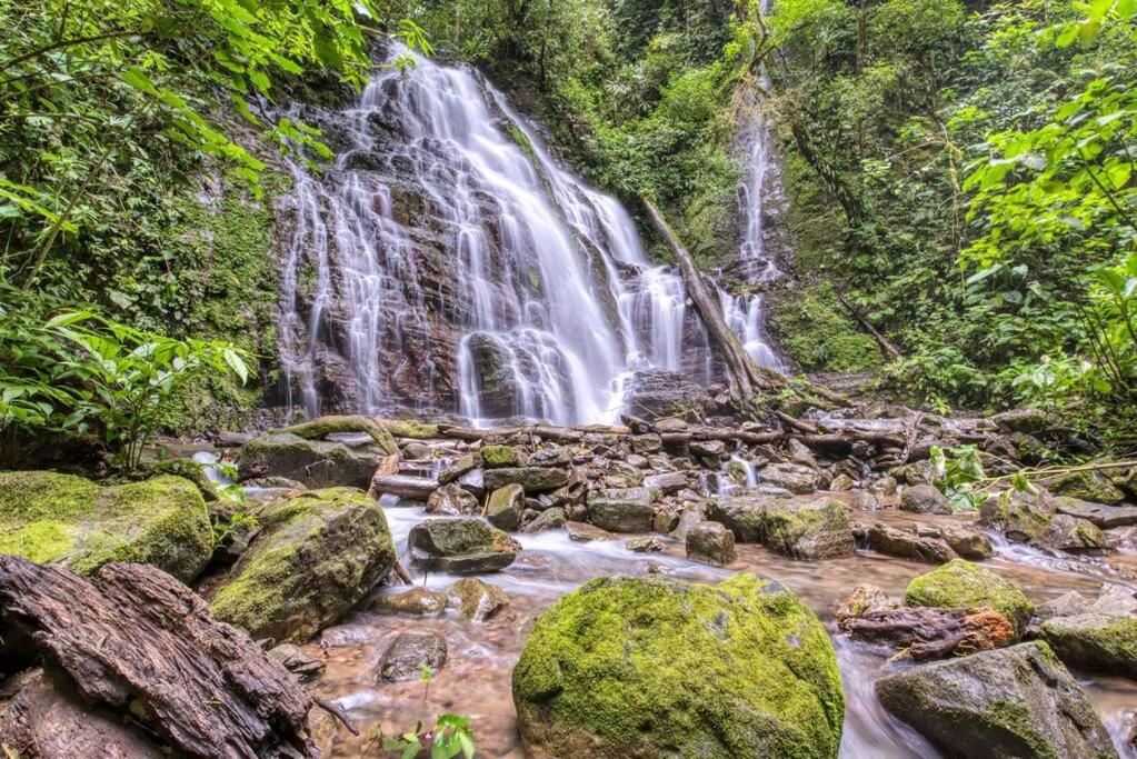 Toucan Valley Resort at Osa Mountain Village