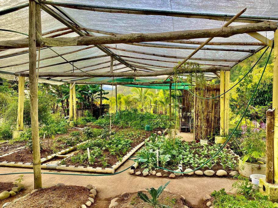Toucan Valley Resort at Osa Mountain Village