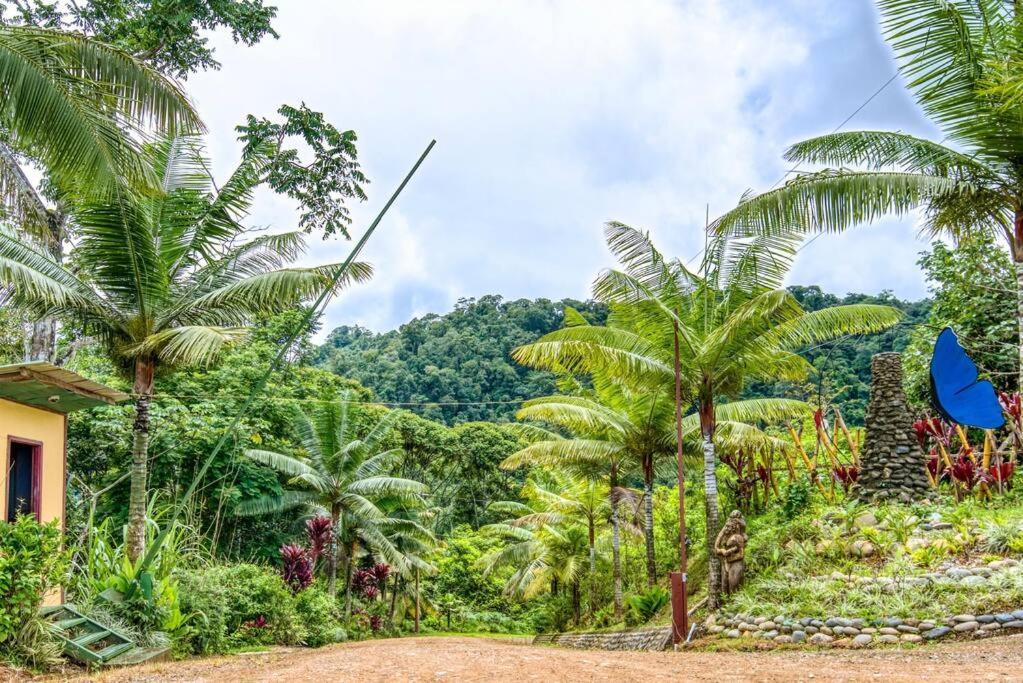 Toucan Valley Resort at Osa Mountain Village