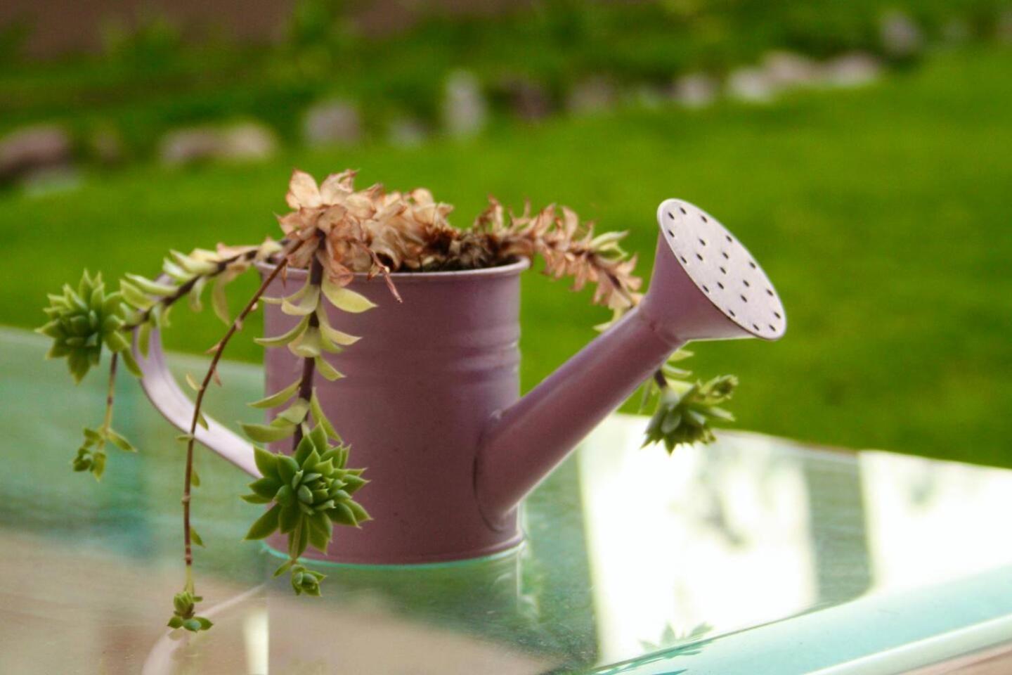Photo 62