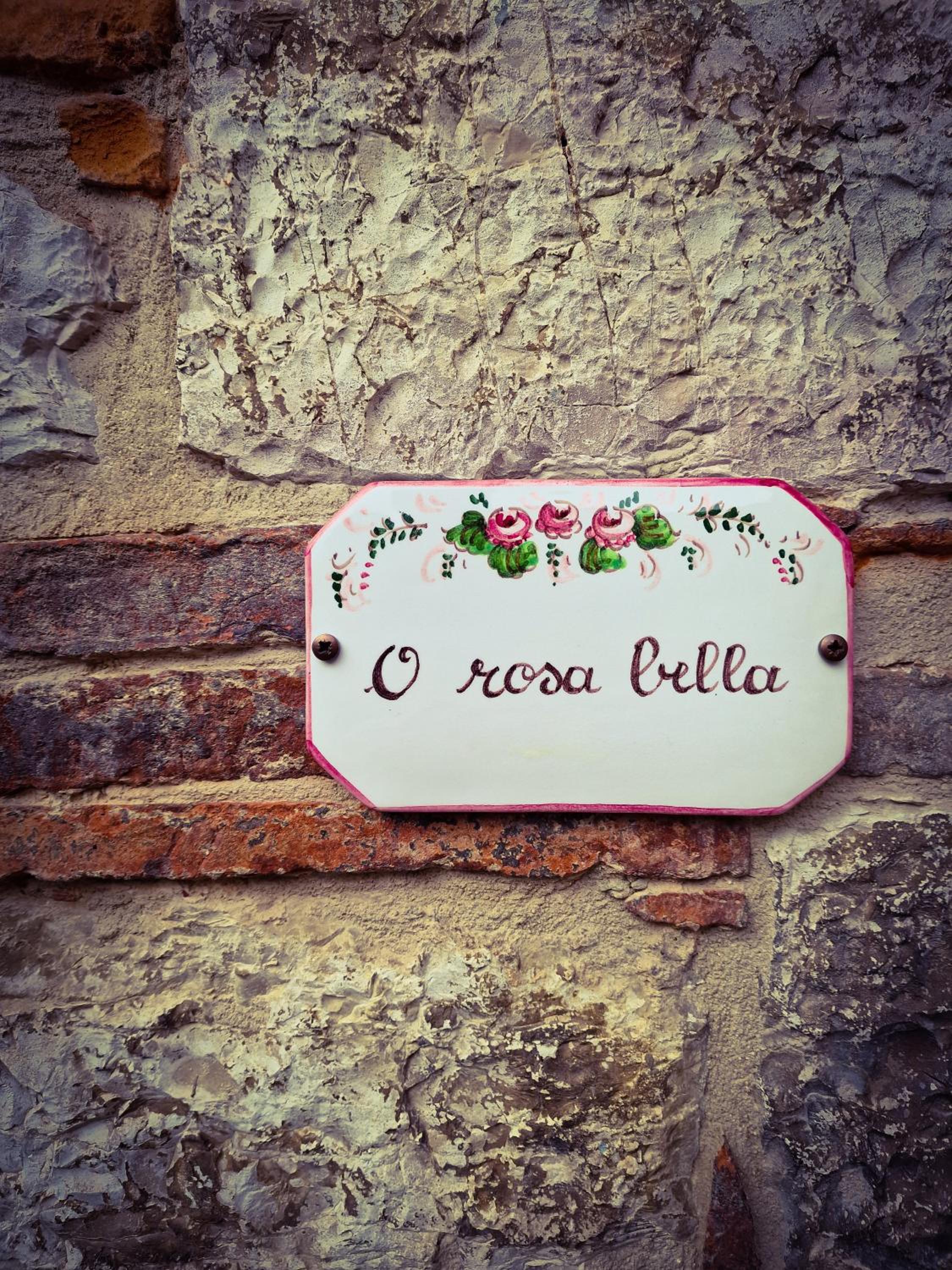 O rosa bella Appartamento via savelli della porta 24 view 3