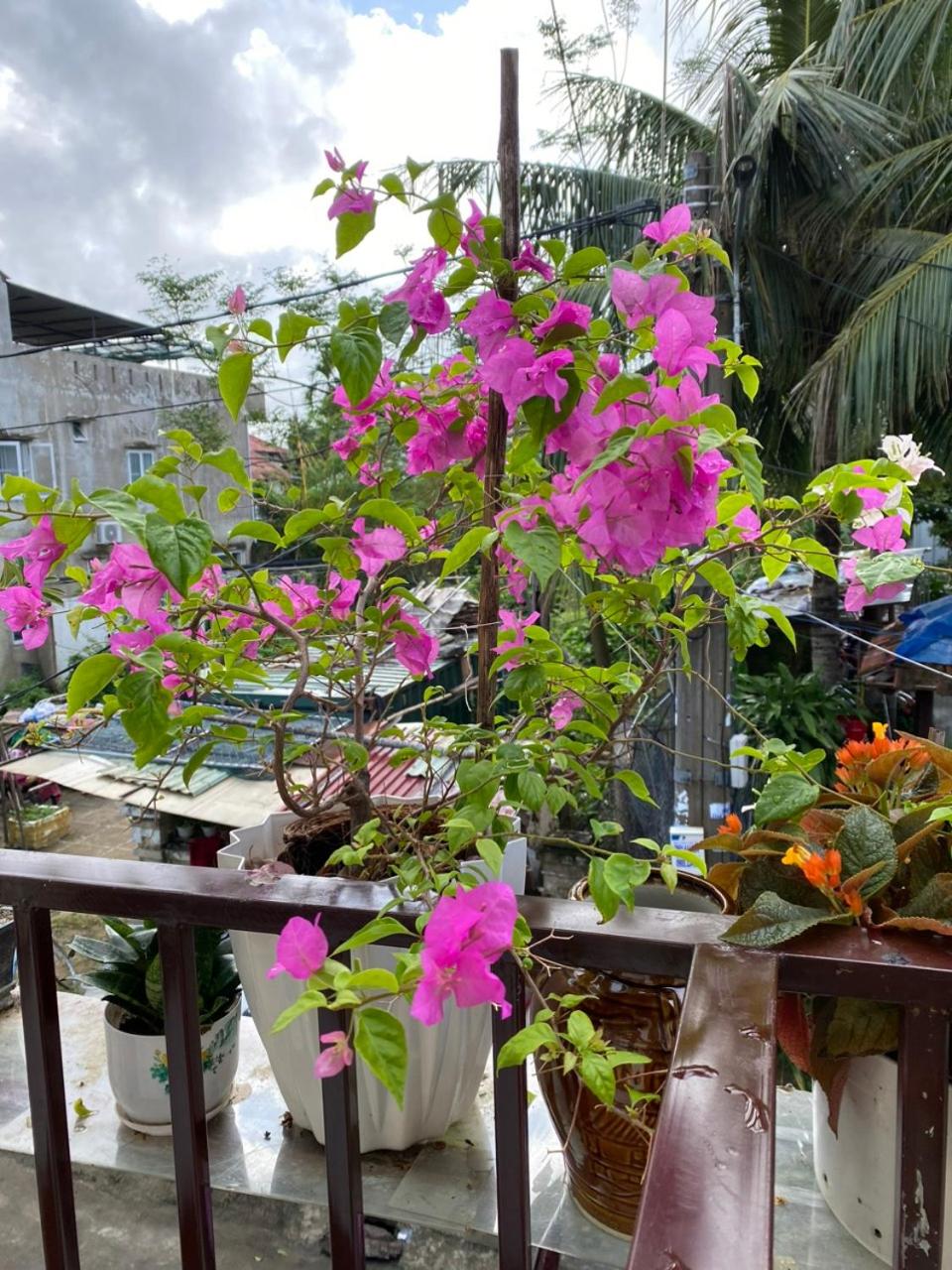 Cuong Thinh Homestay
