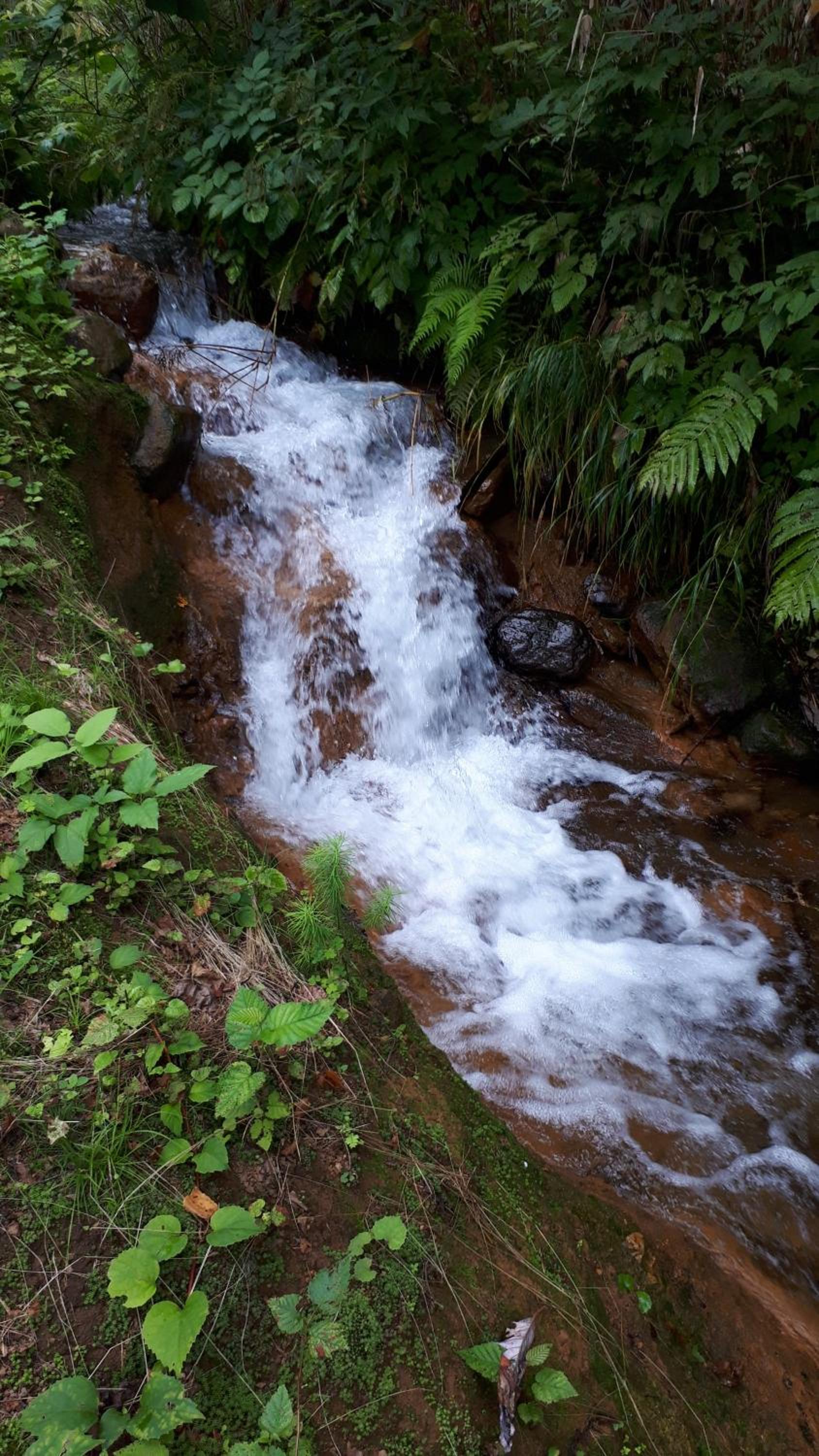 Photo 37