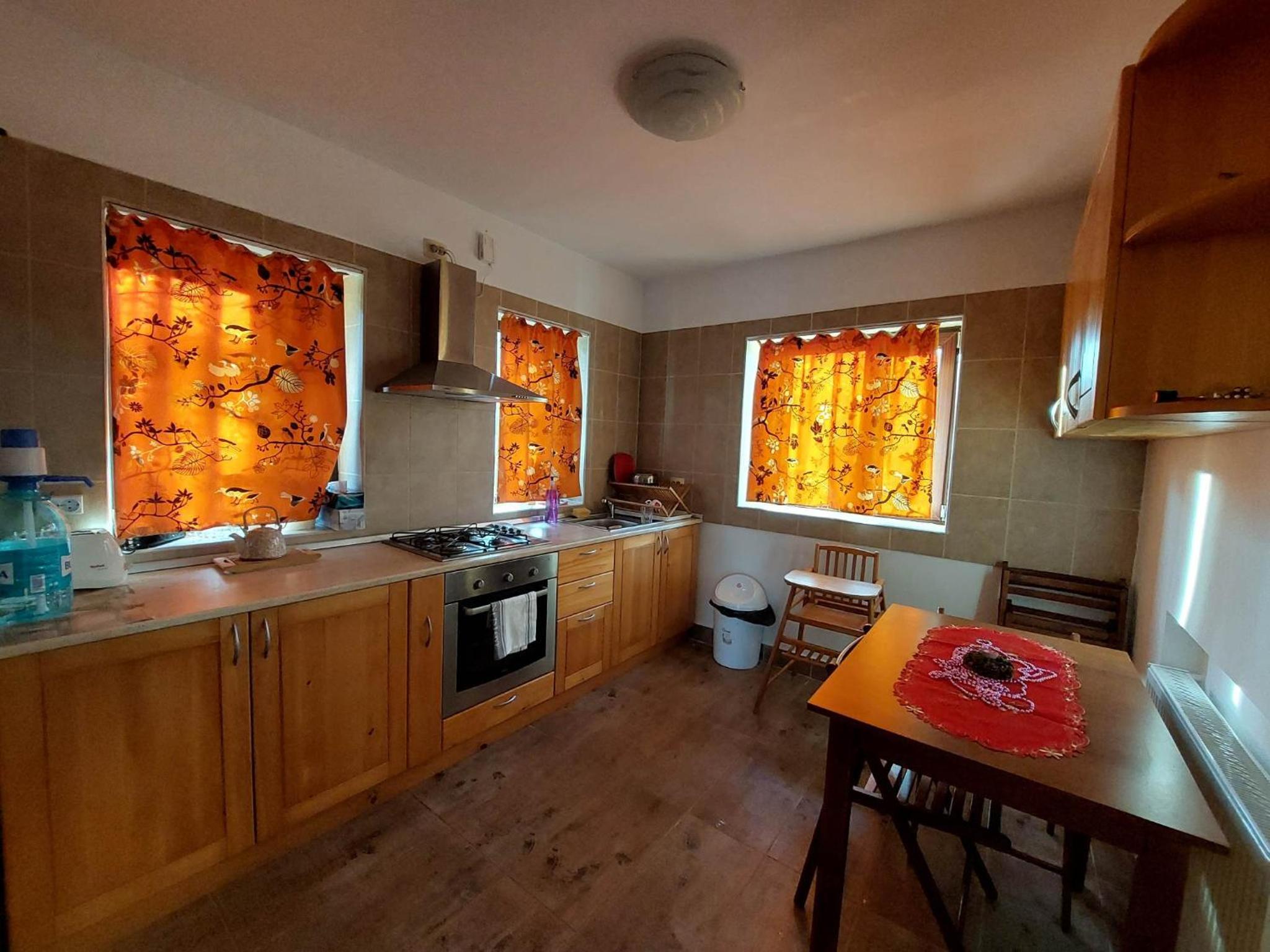 Casa Vlazilor, photo 14