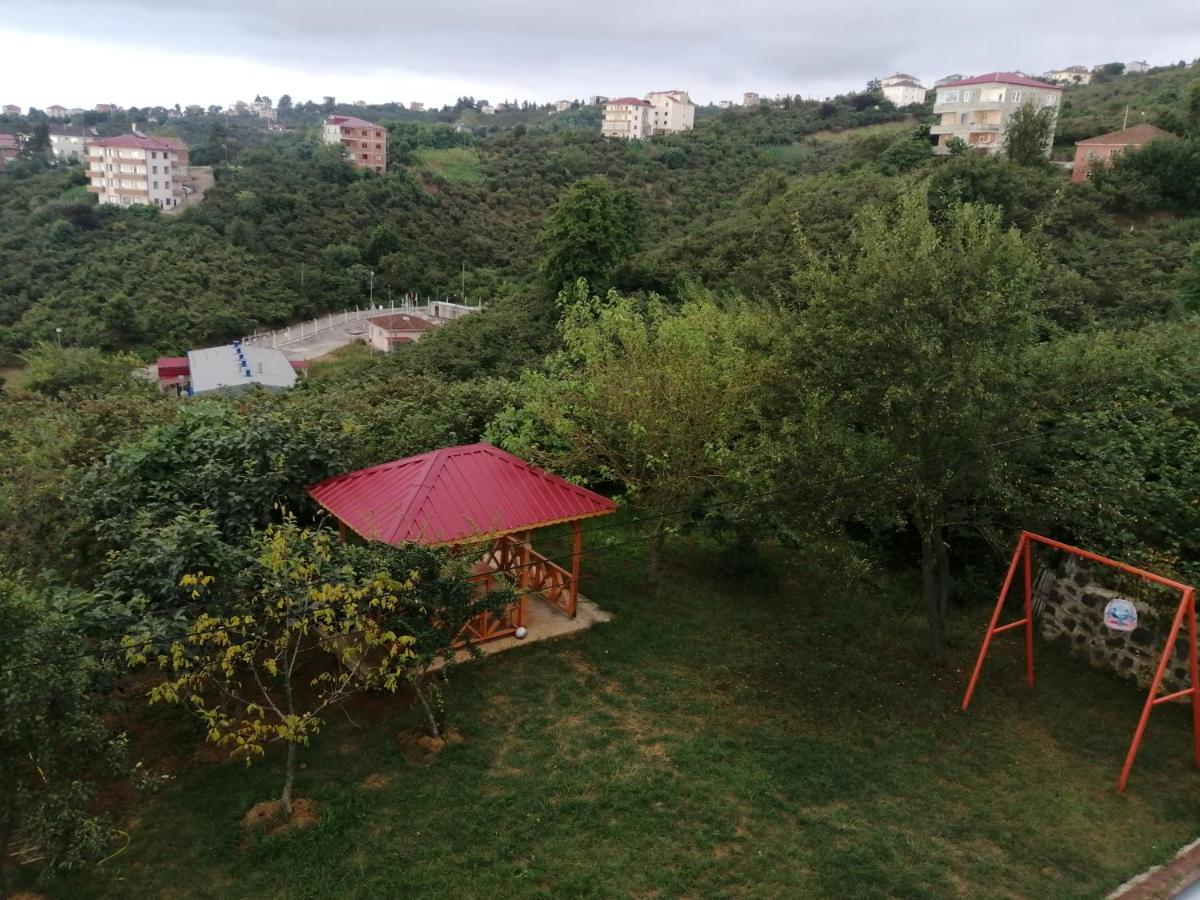 Adam Garden view 3