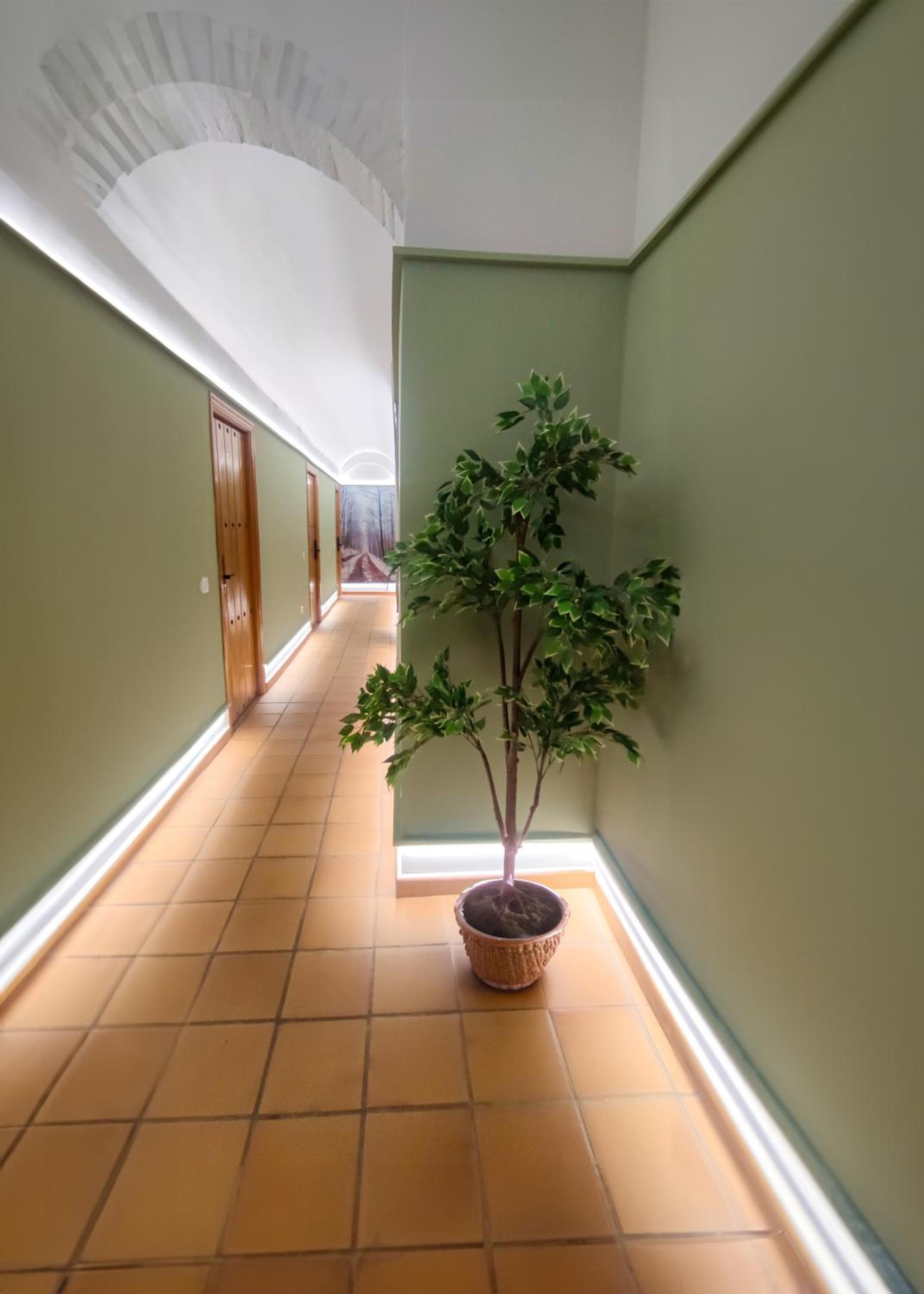 Hostal Altamira Guadalupe
