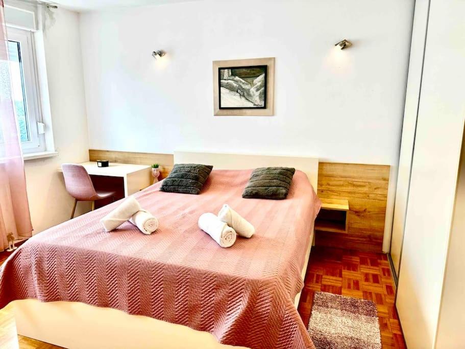 Cute and Cosy apartment view 5