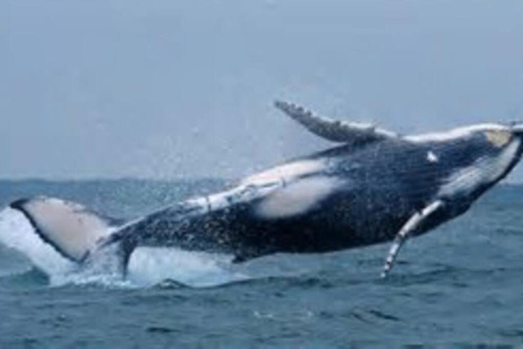 other
