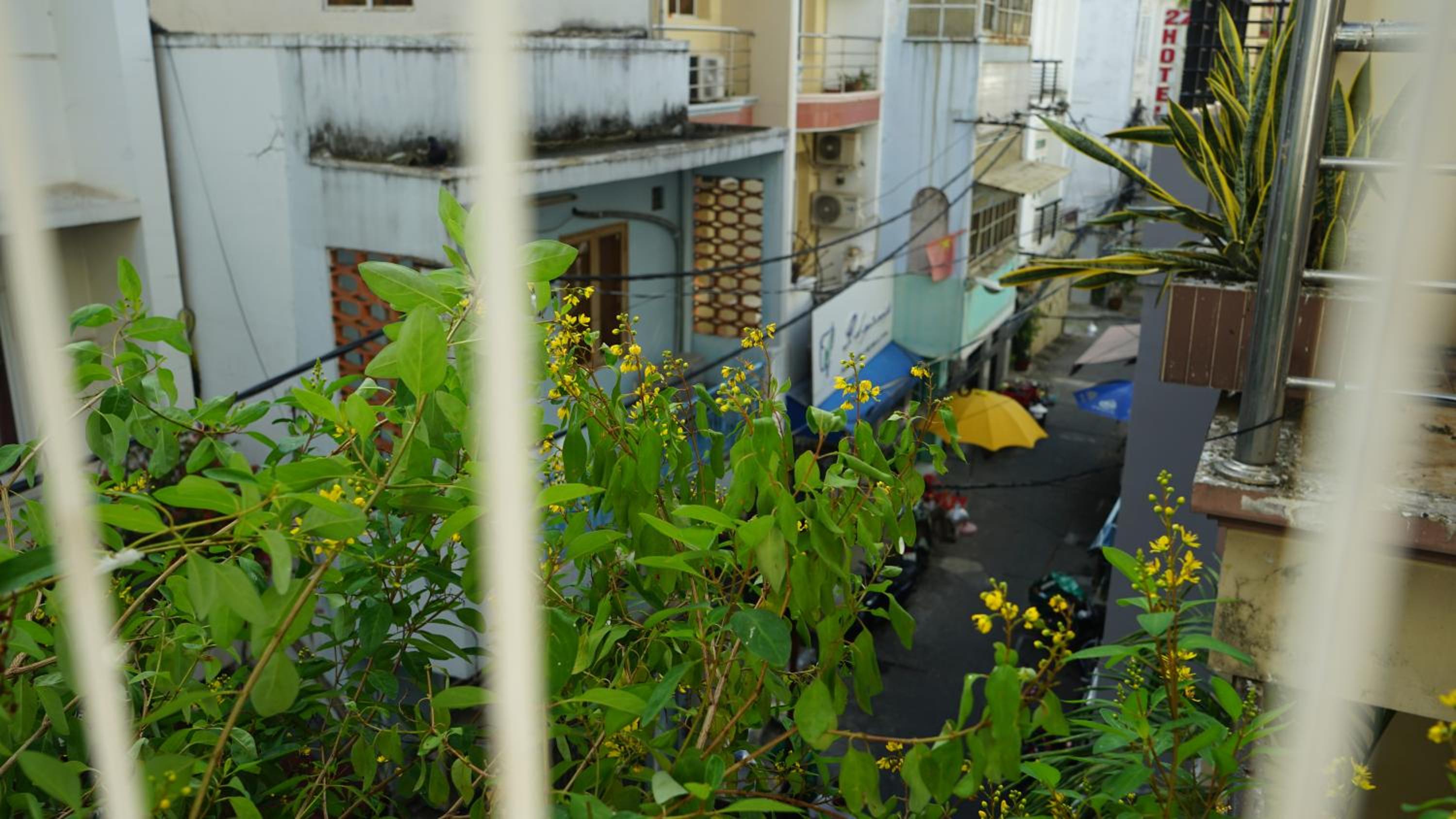 MAIAM Homestay