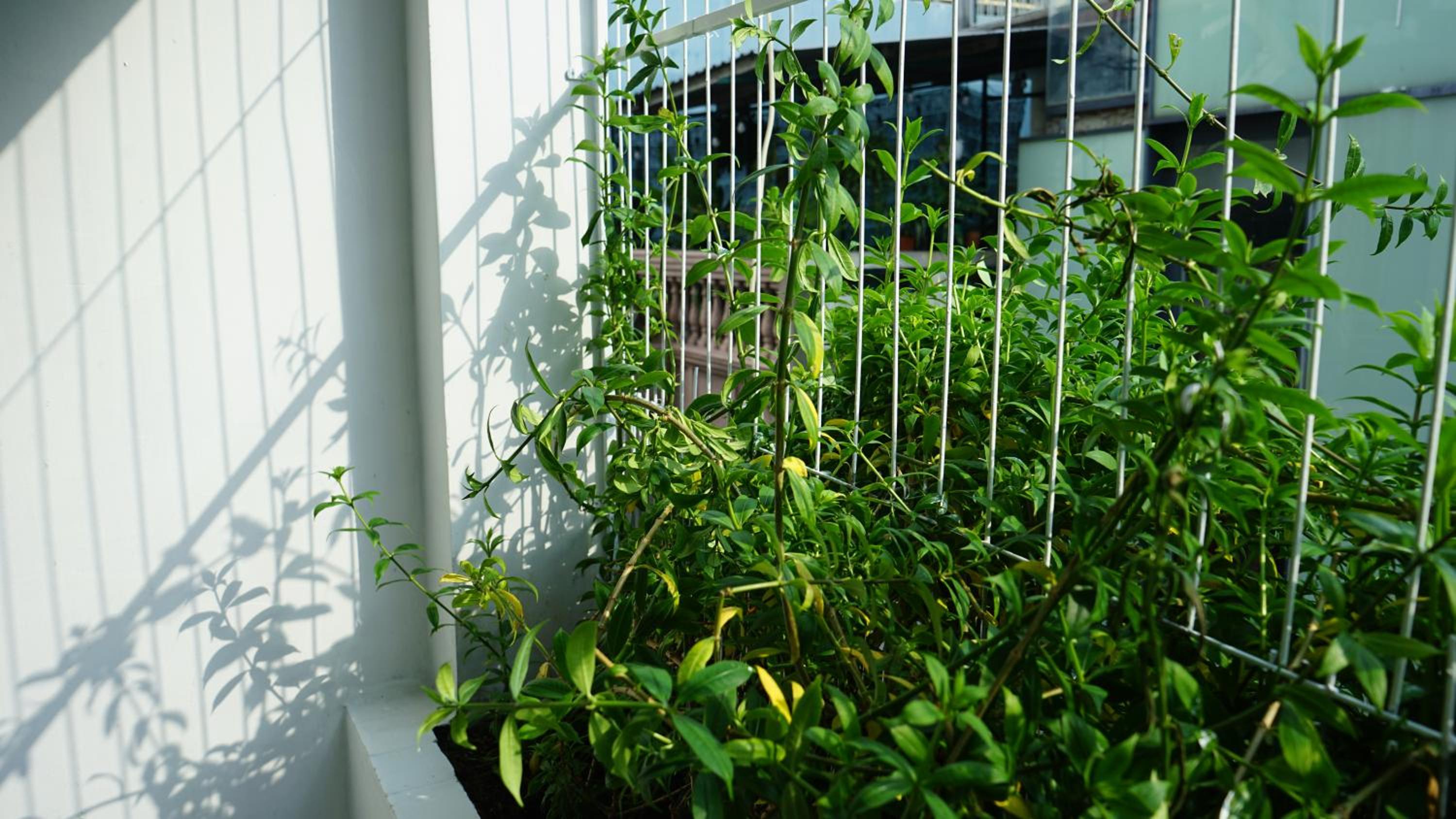 MAIAM Homestay