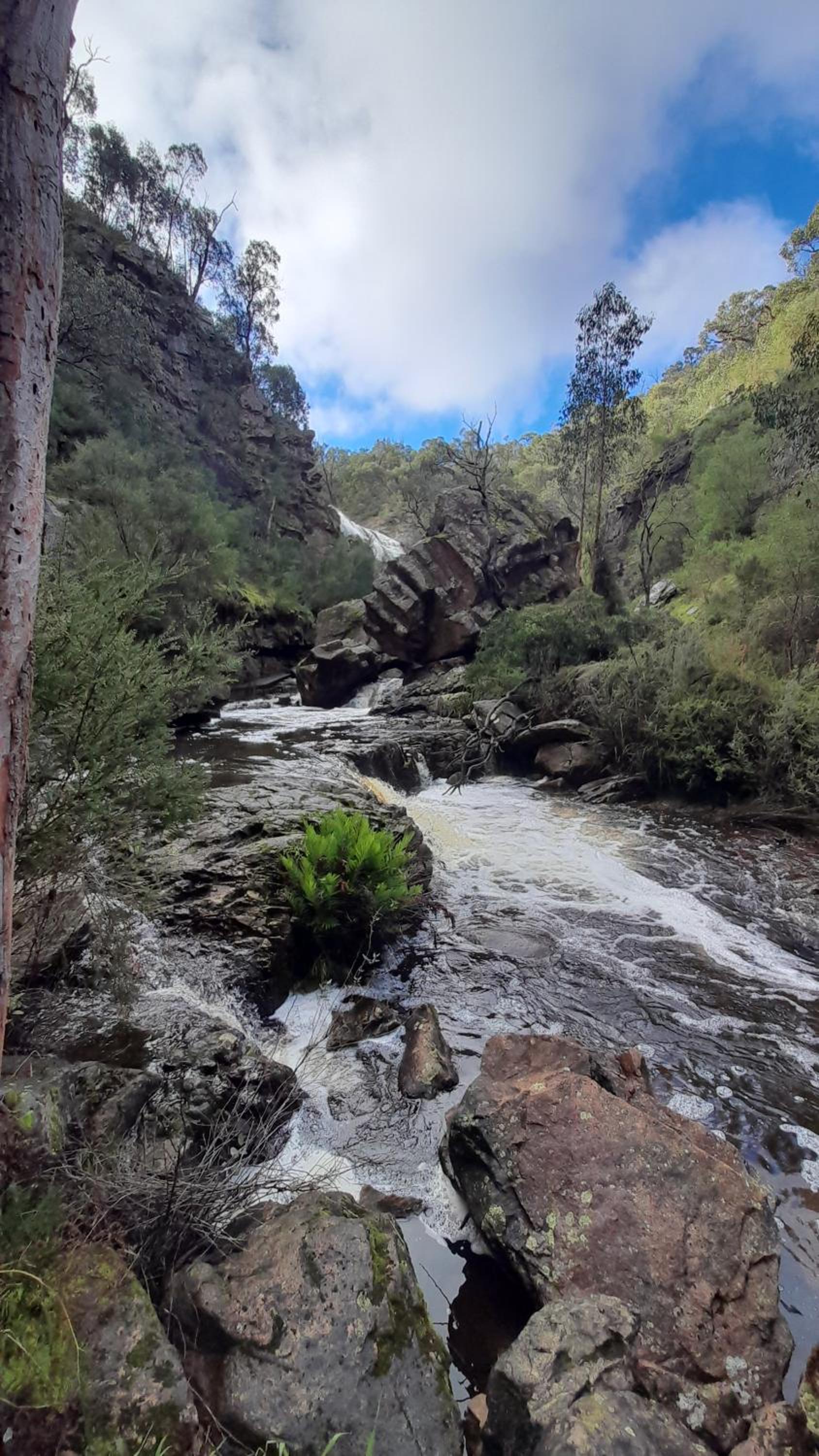 Halls Gap Motel