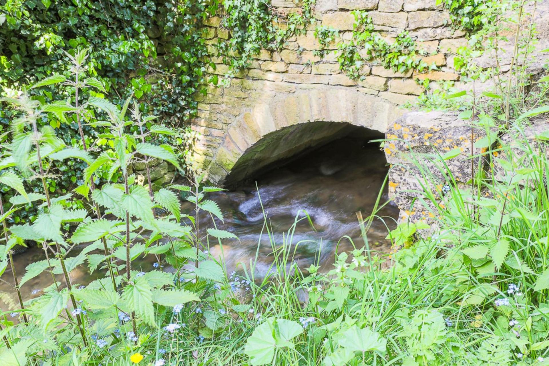 Bankside Cottage