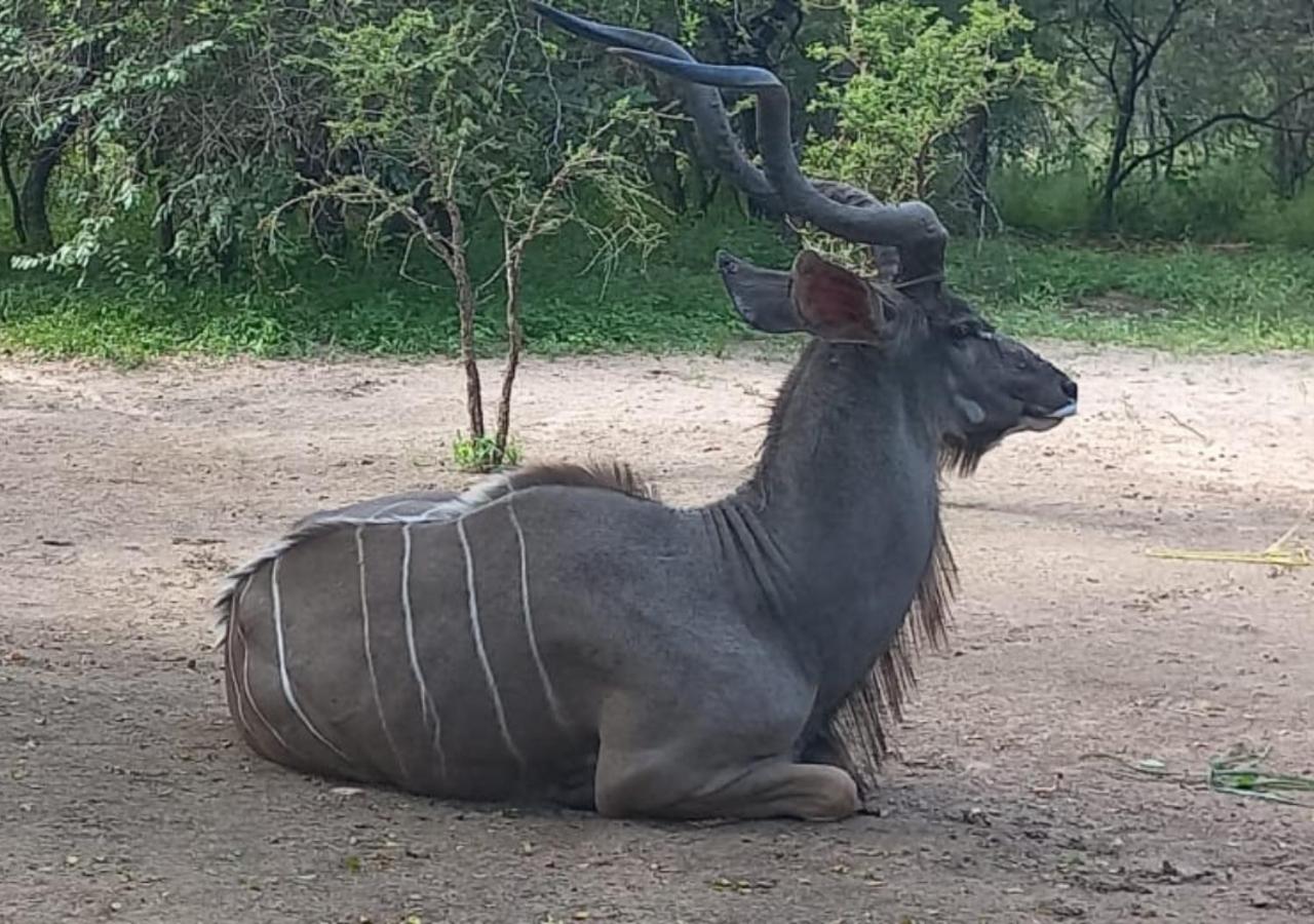Turaco Lodge - No Loadshedding