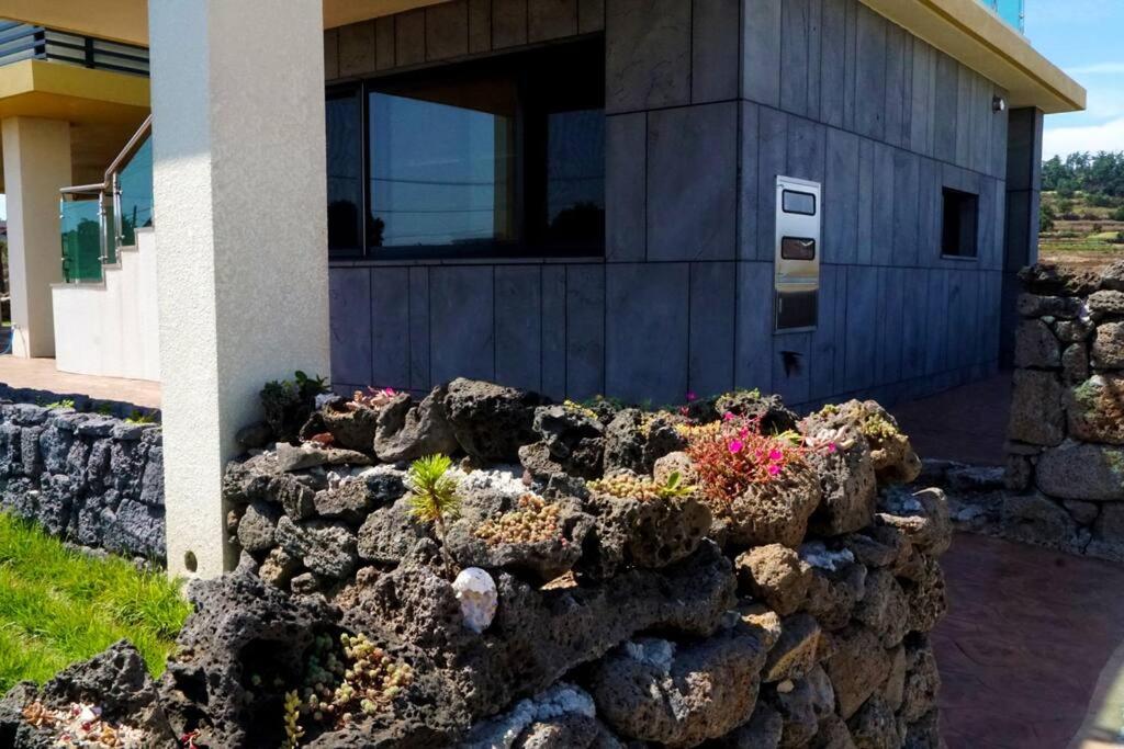 Mirine Jeju 10