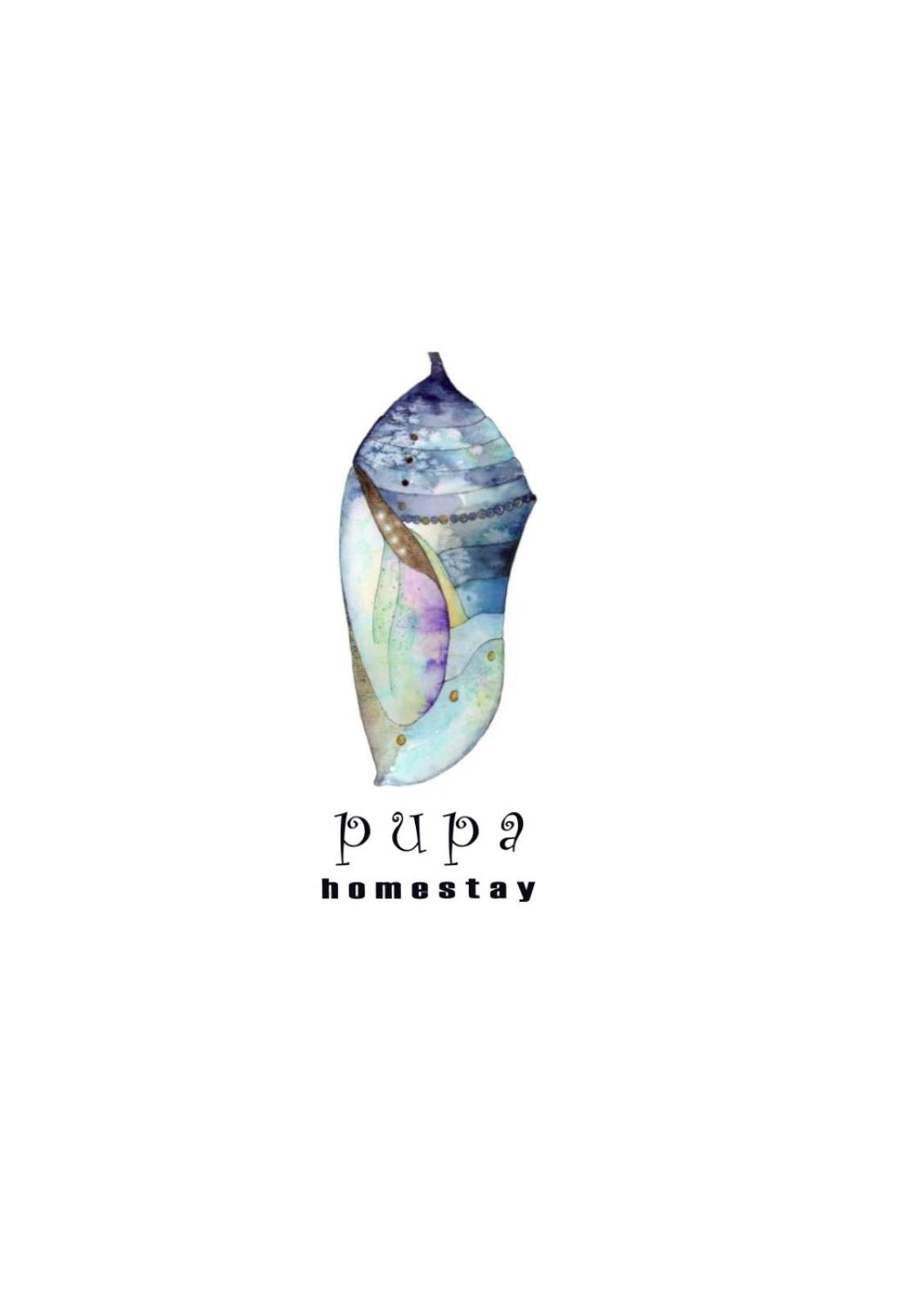 Pupa Homestay &Surf school