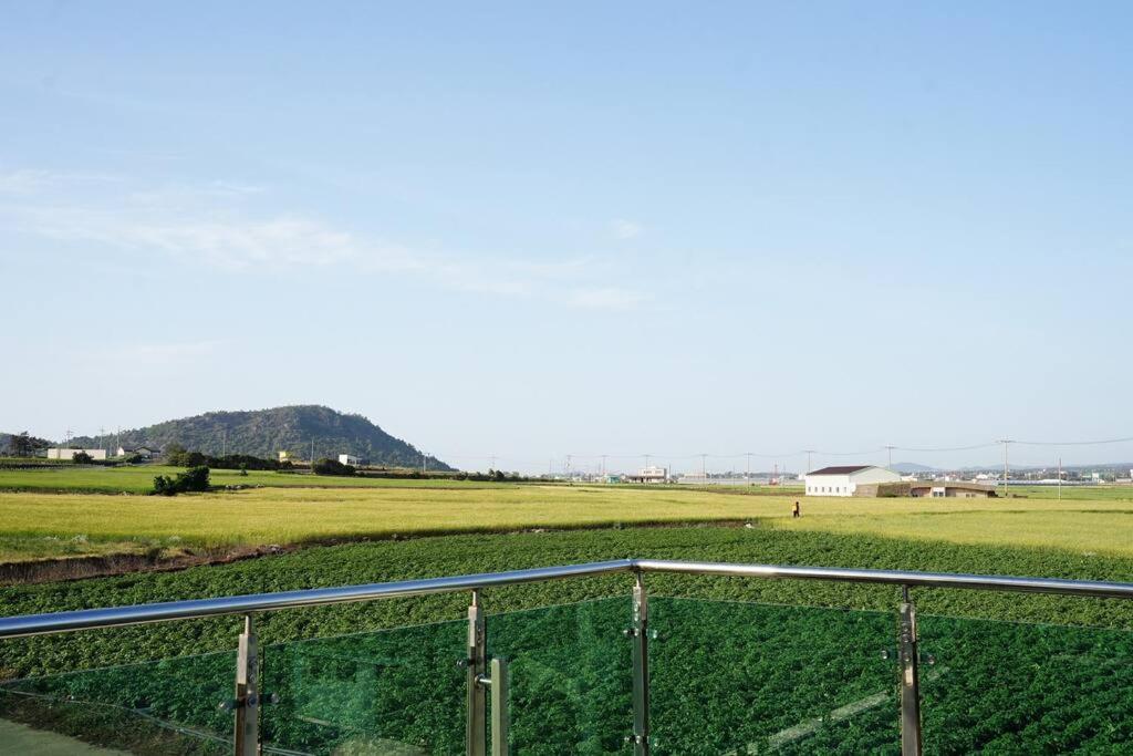 Mirine Jeju 21