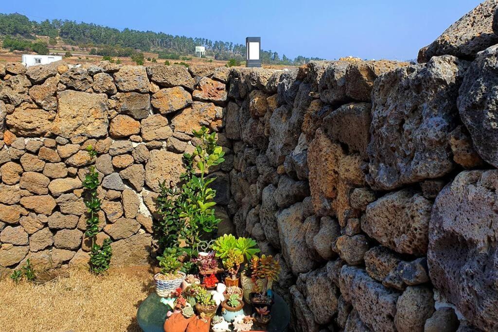 Mirine Jeju 23