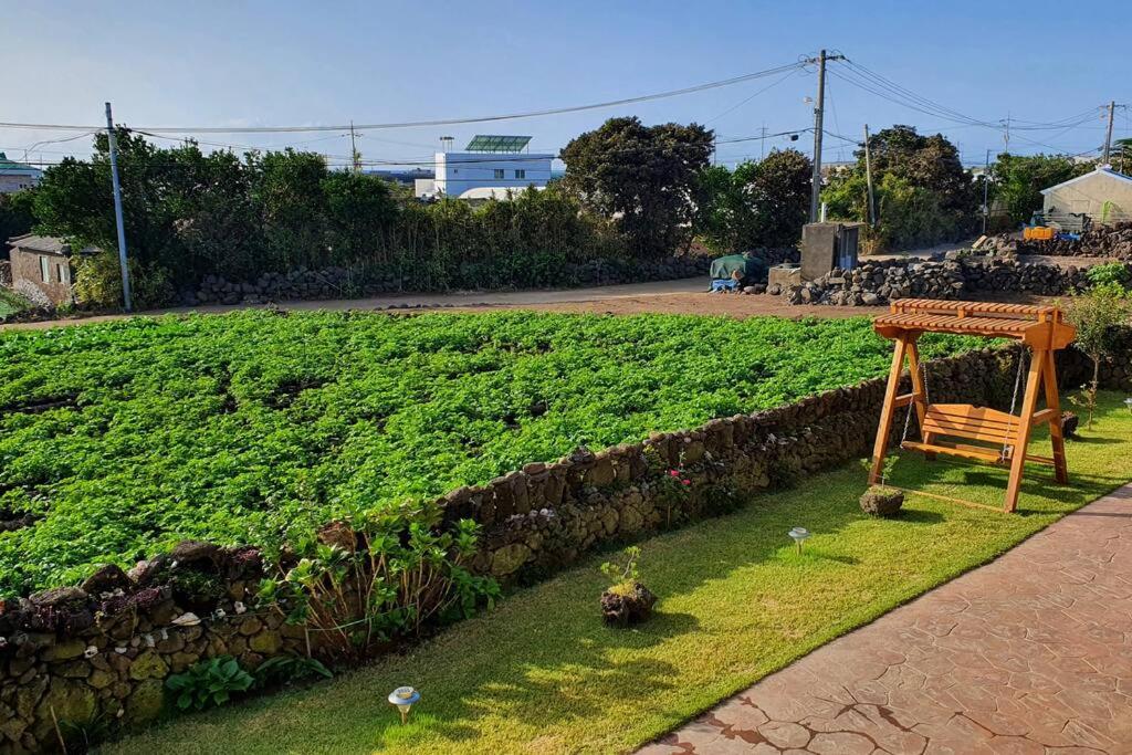 Mirine Jeju 25