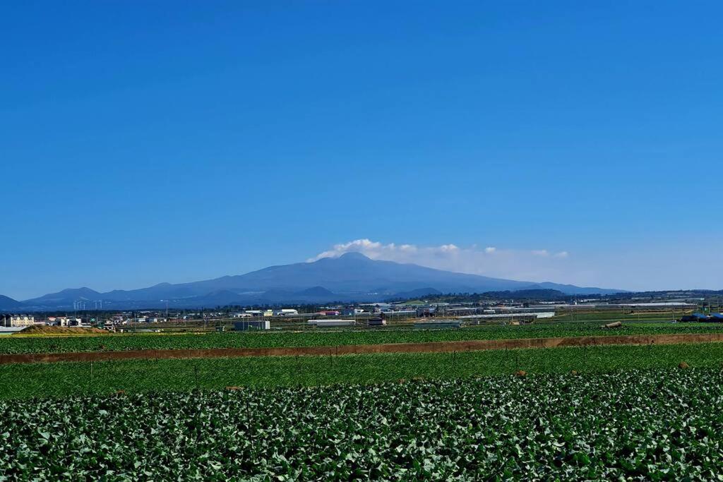 Mirine Jeju 30