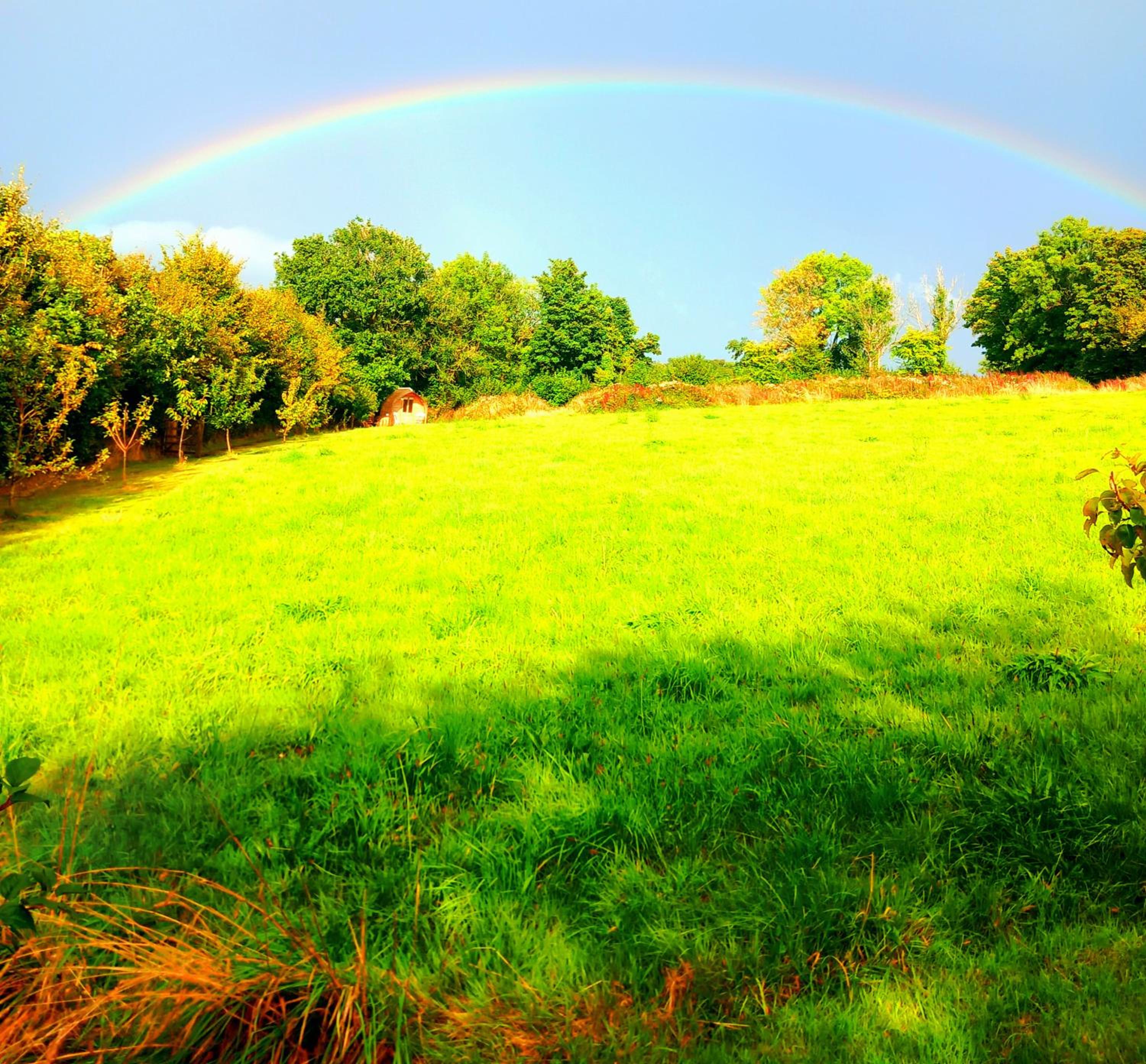 Ceridwen Glamping, double decker bus and Yurts