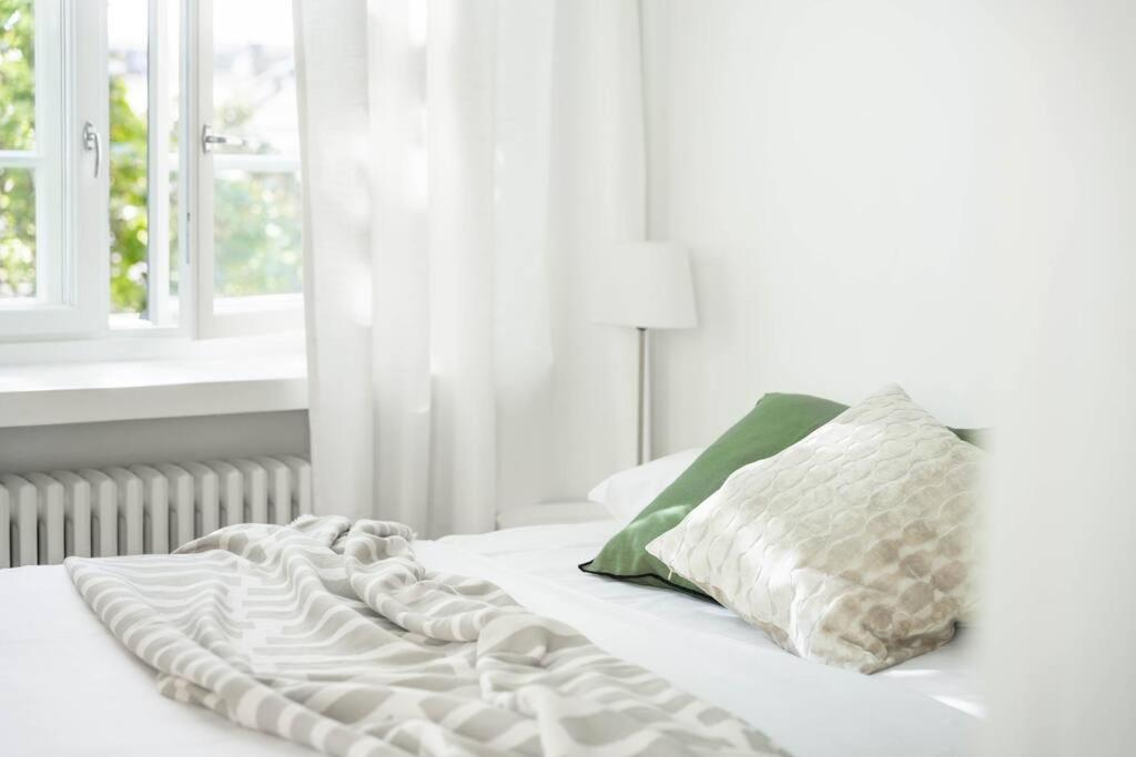 Airy and Bright one-Bedroom apt view 5