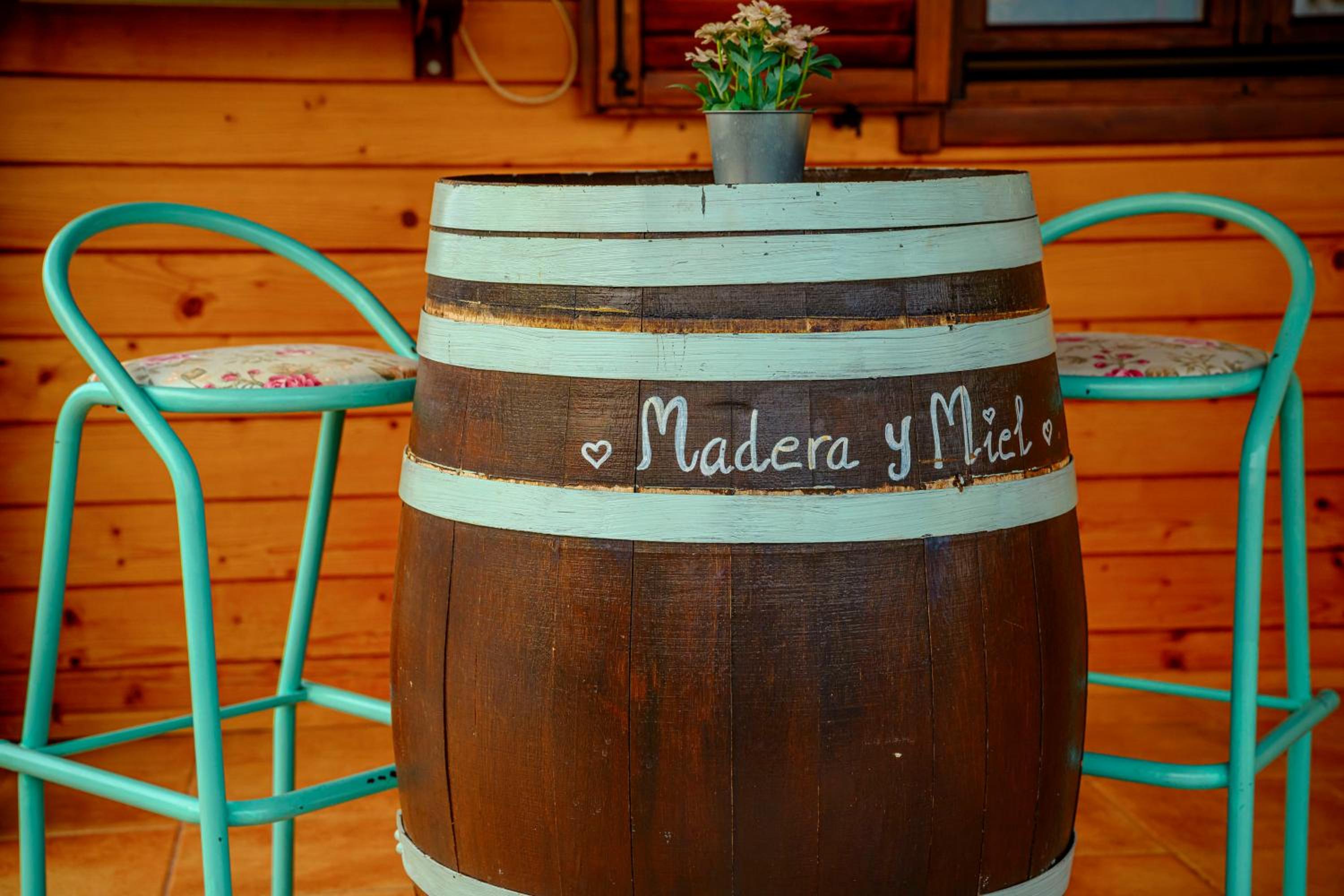 Madera y Miel Casa Rural con niños en Puy du Fou view 5