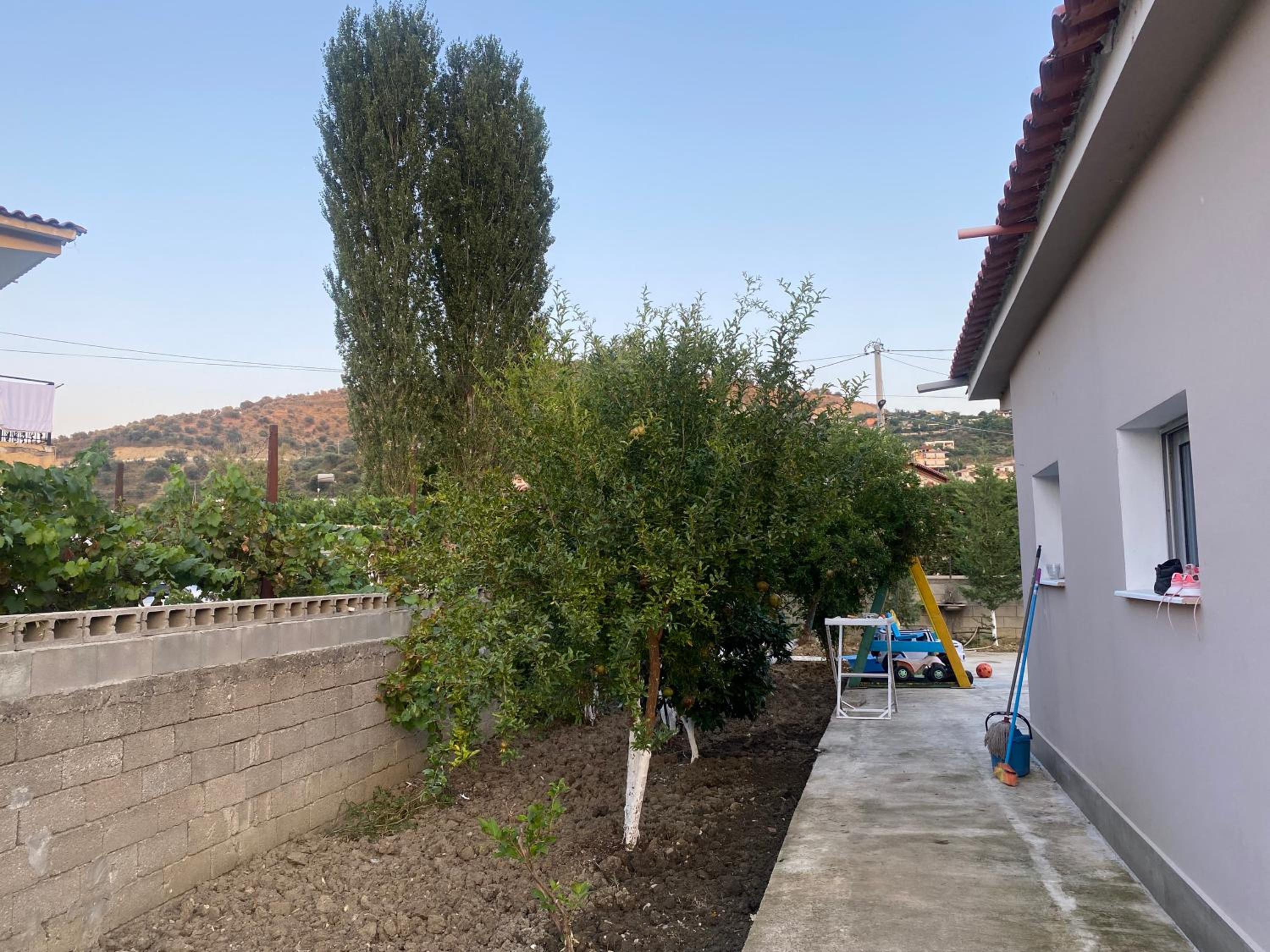Violeta of Berat