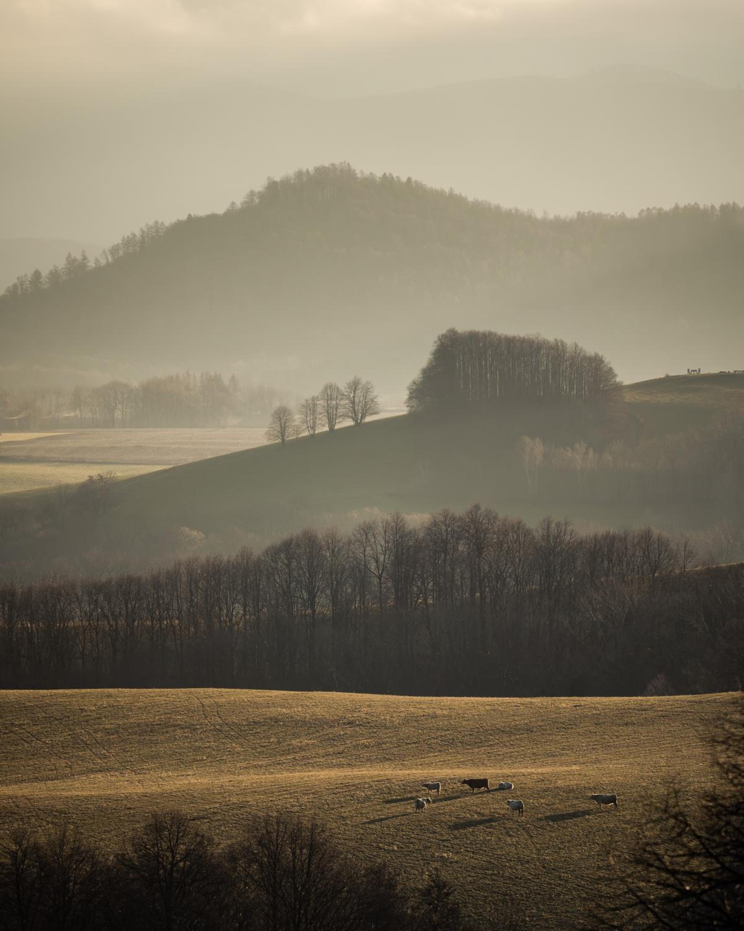 Glamping Na Malém Háji