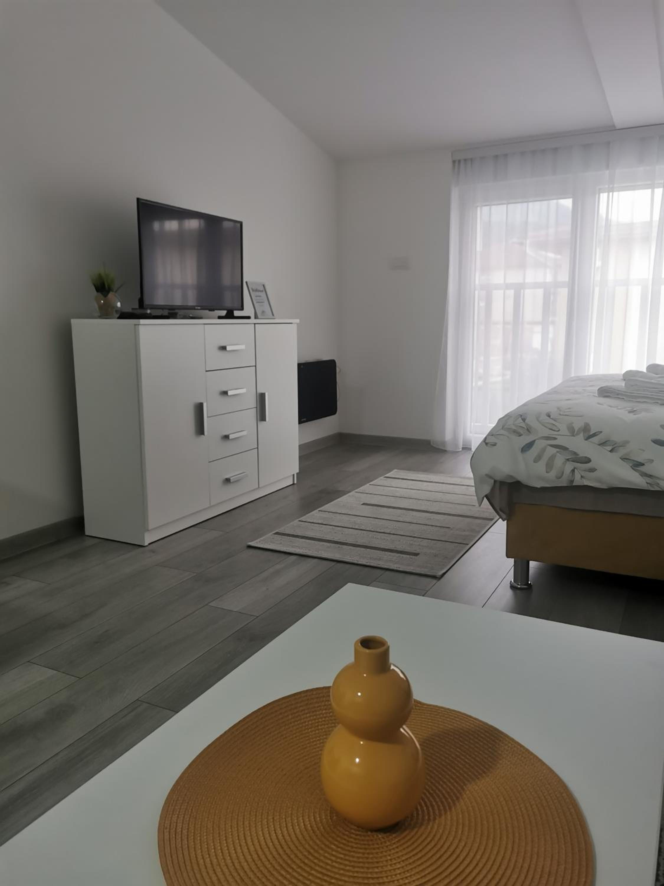 Studio apartmani Banja Koviljaca view 3