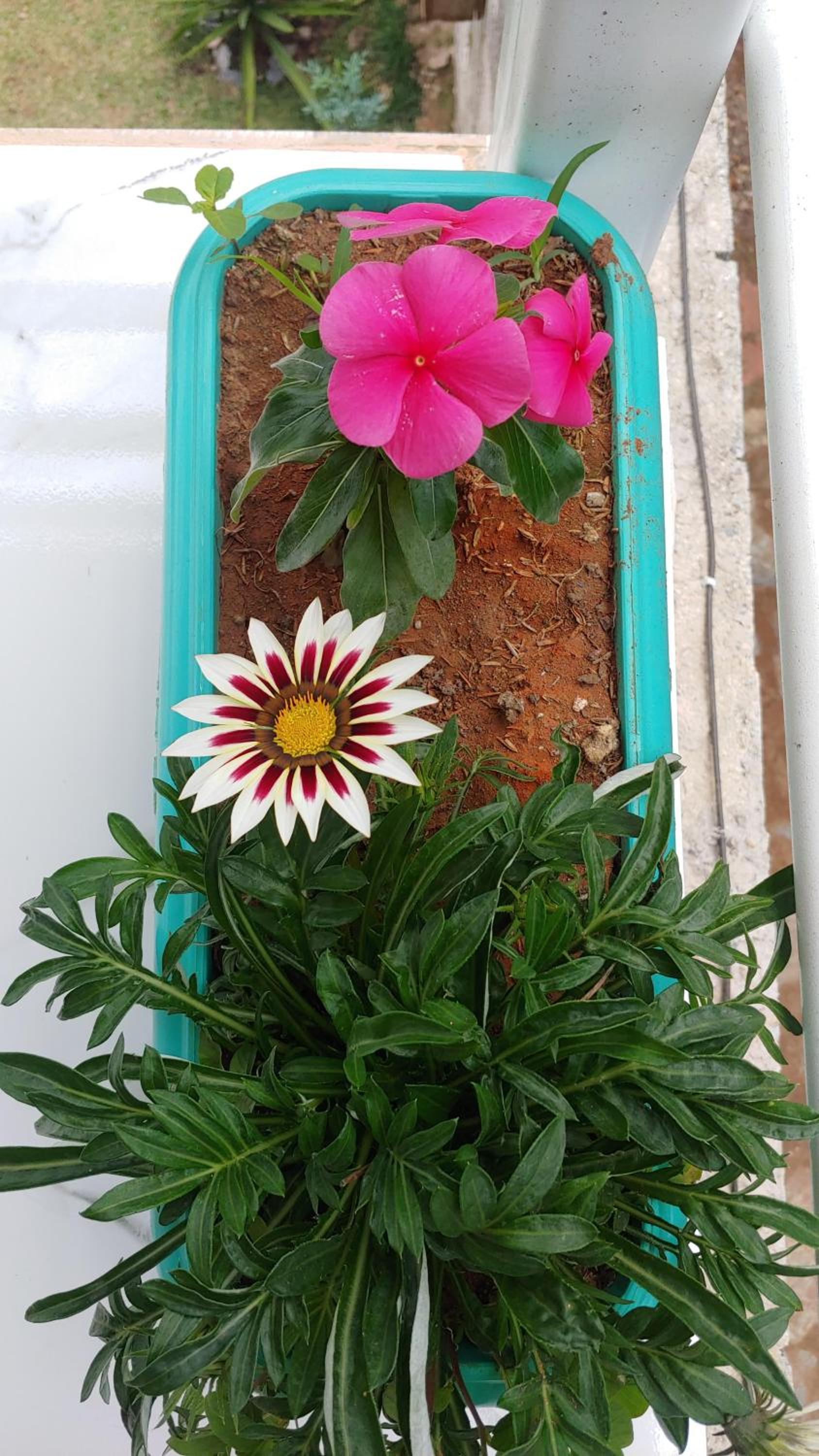Pousada Ostara