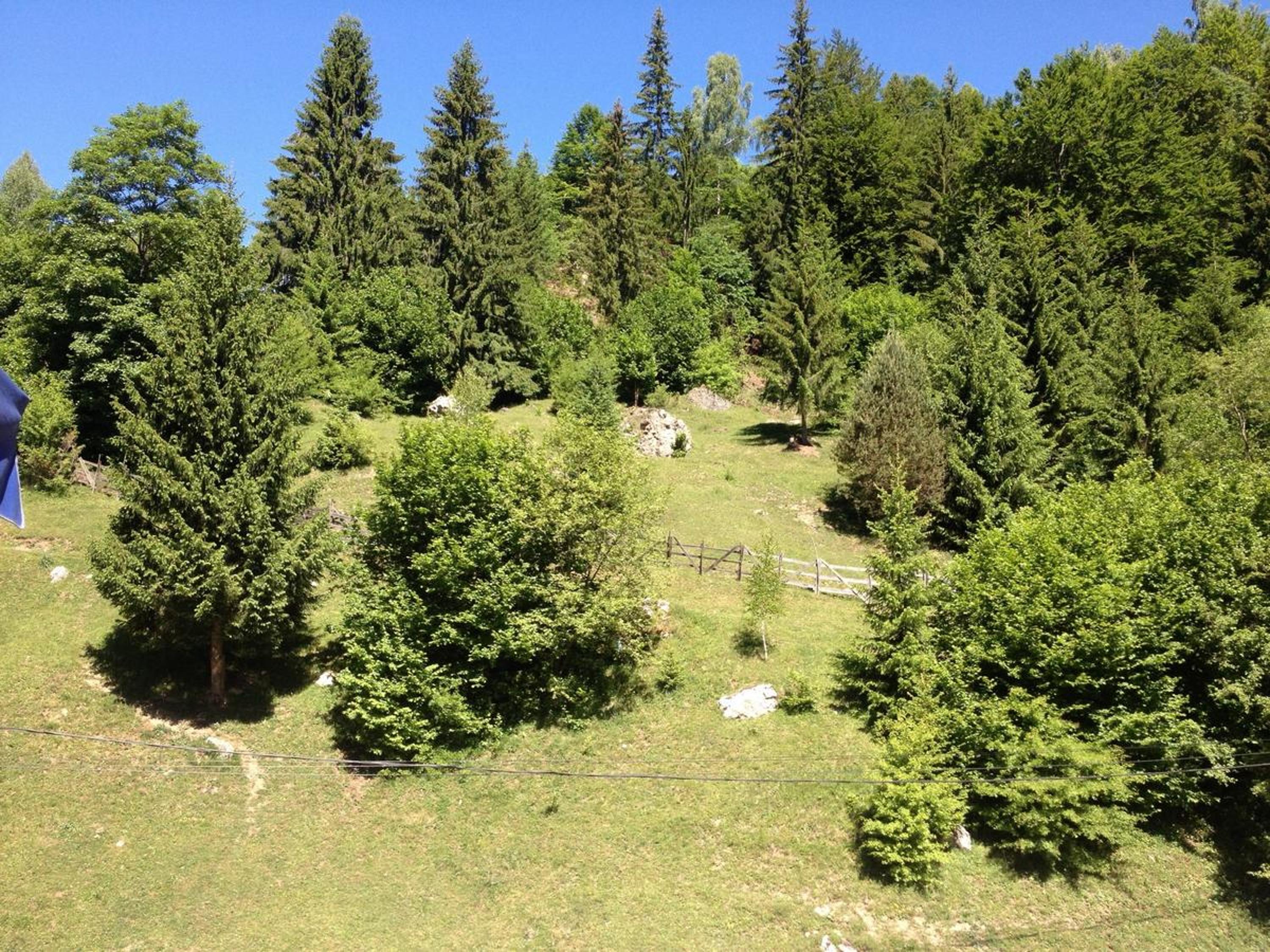 Photo 23